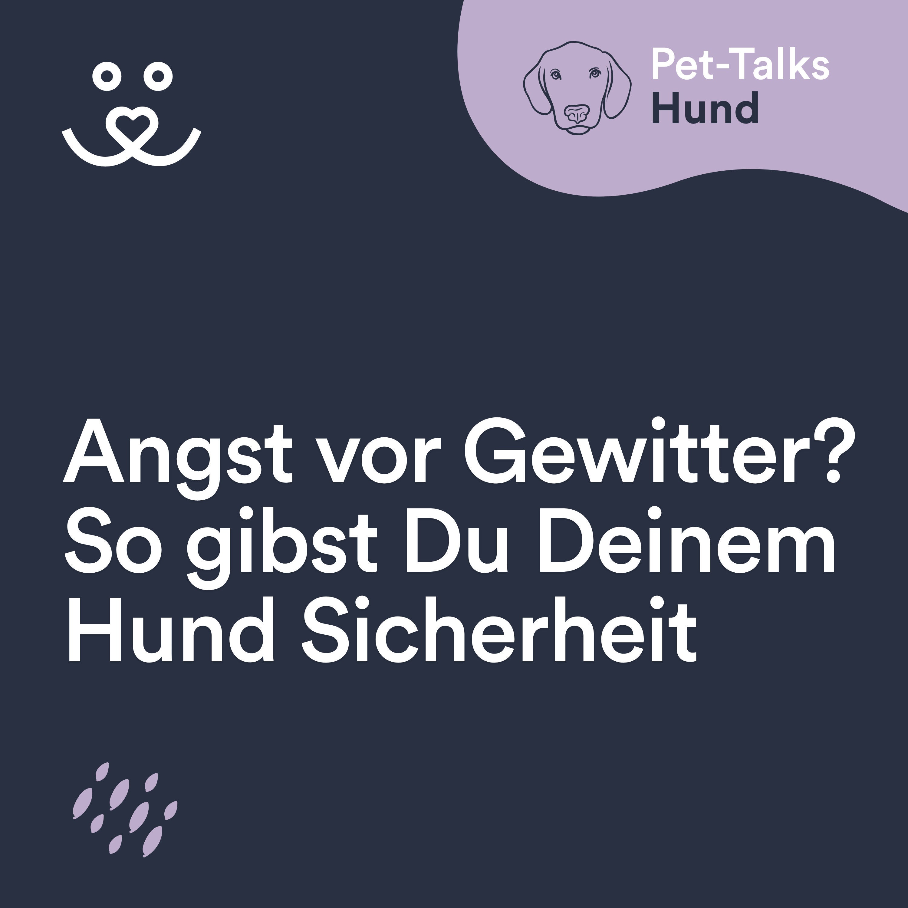 Angst vor Gewitter? So gibst Du Deinem Hund Sicherheit