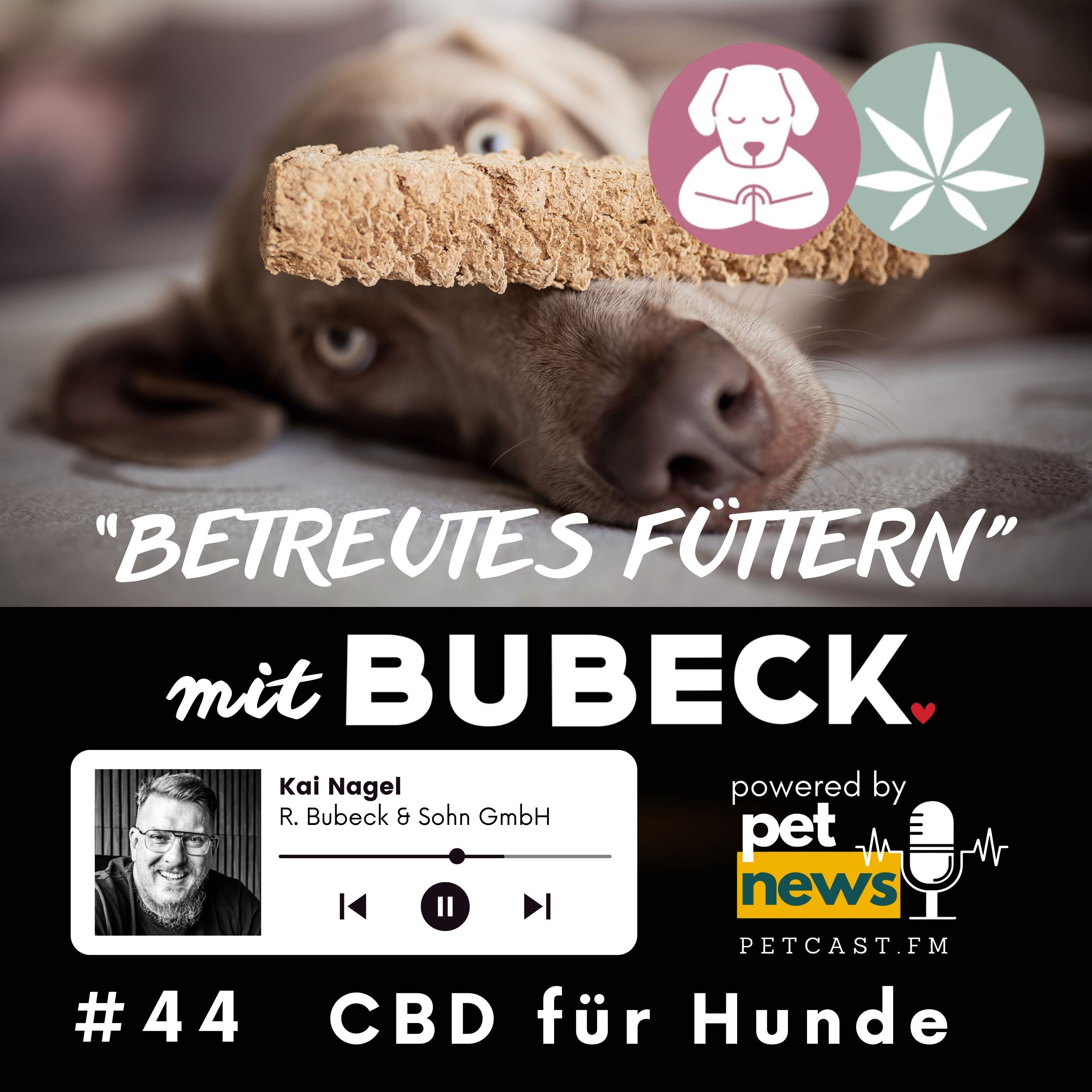 #44 - CBD für Hunde