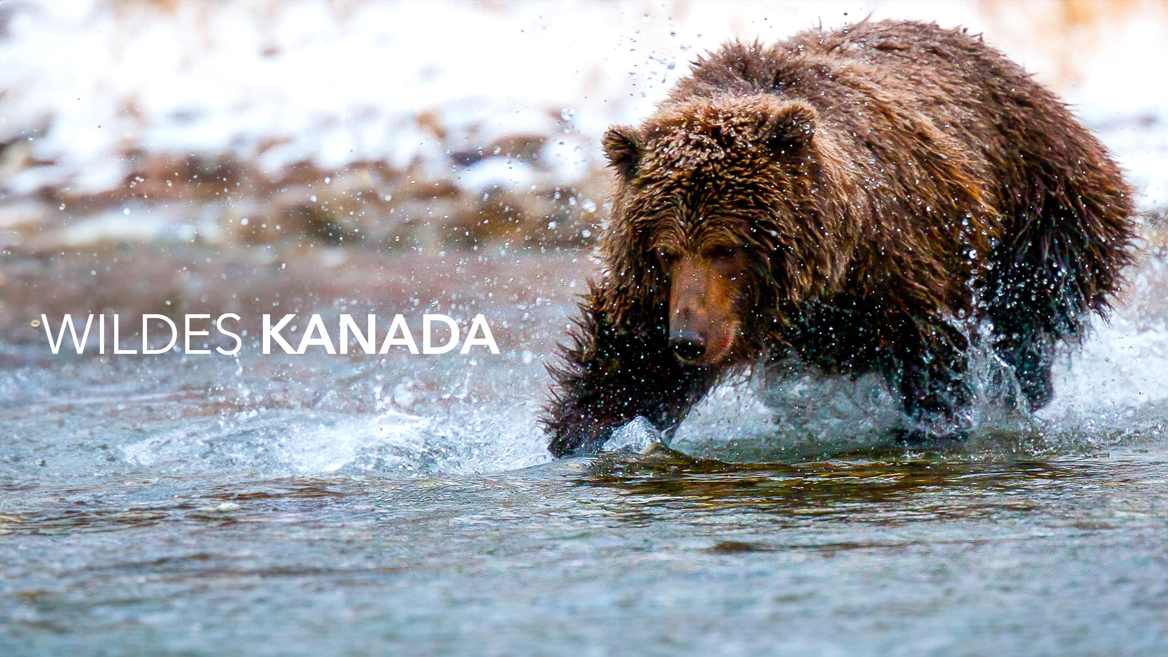 Wildes Kanada