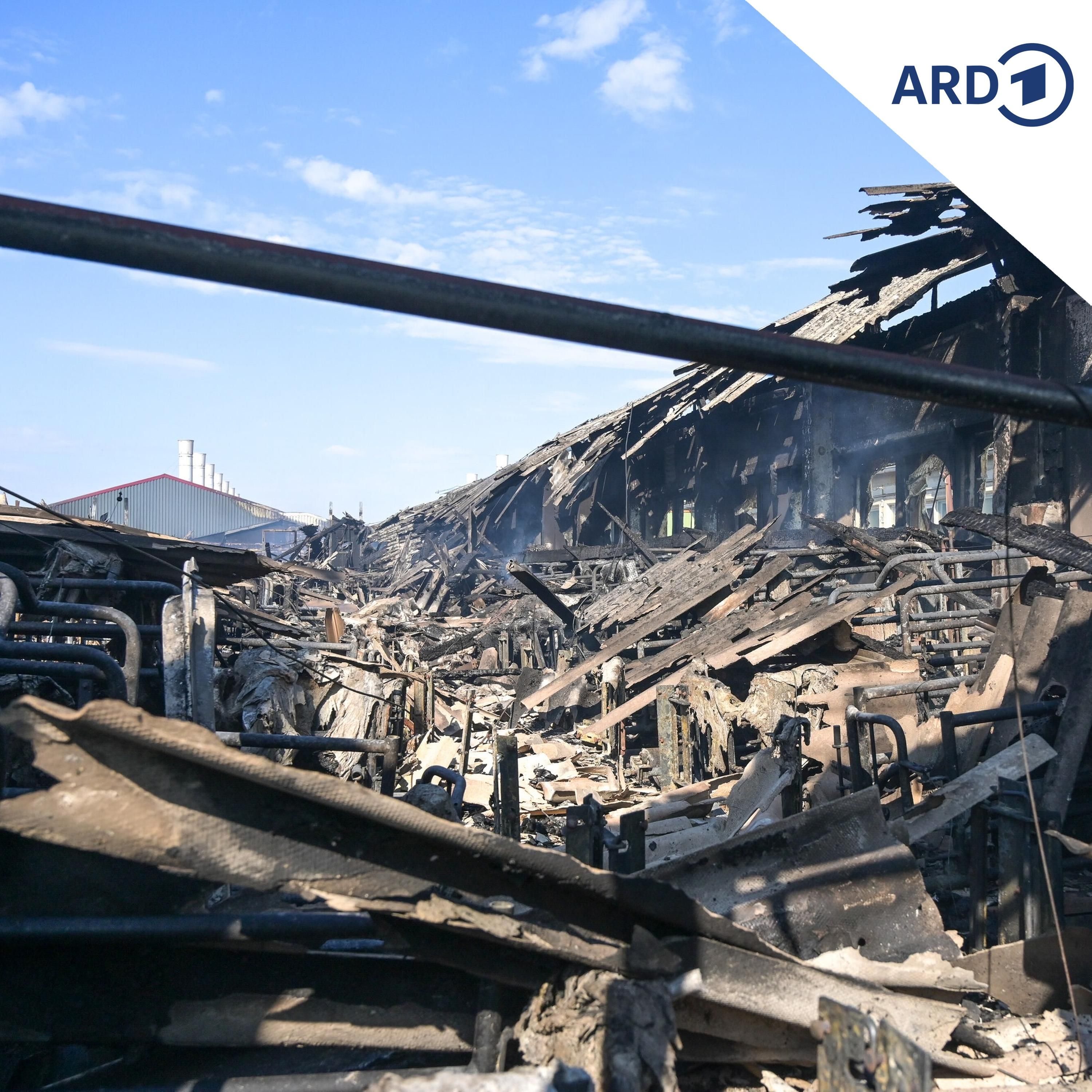 Brand in Schweinemastanlage: 20.000 Tiere tot und Millionenschaden