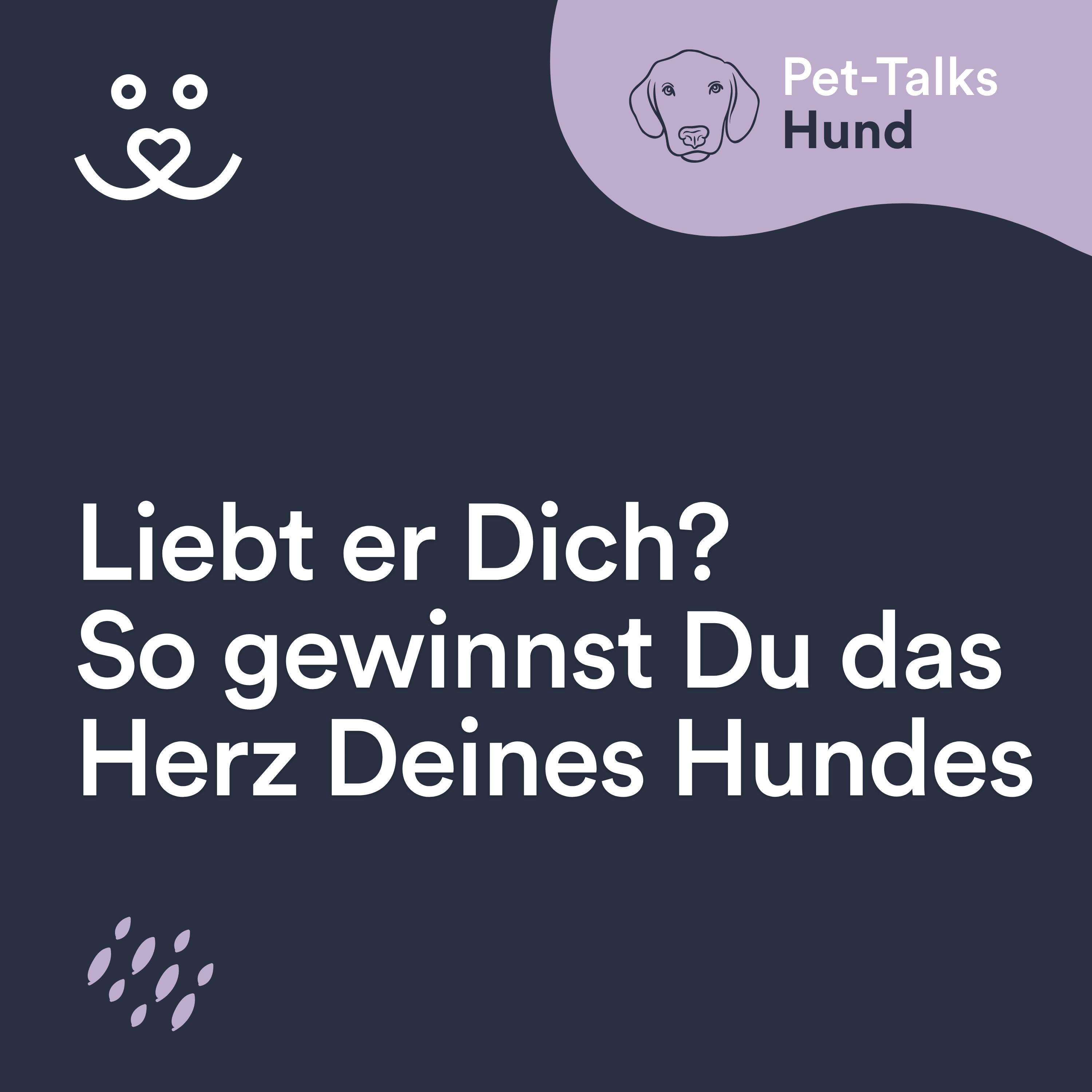 Liebt er Dich wirklich? So gewinnst Du das Herz Deines Hundes