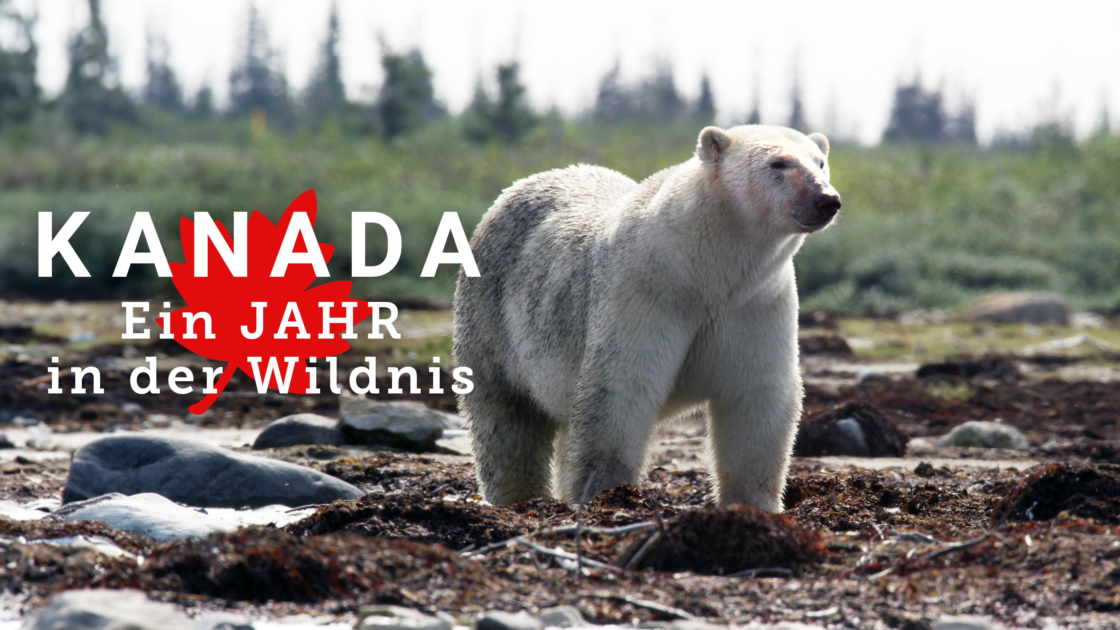 Kanada: Ein Jahr in der Wildnis