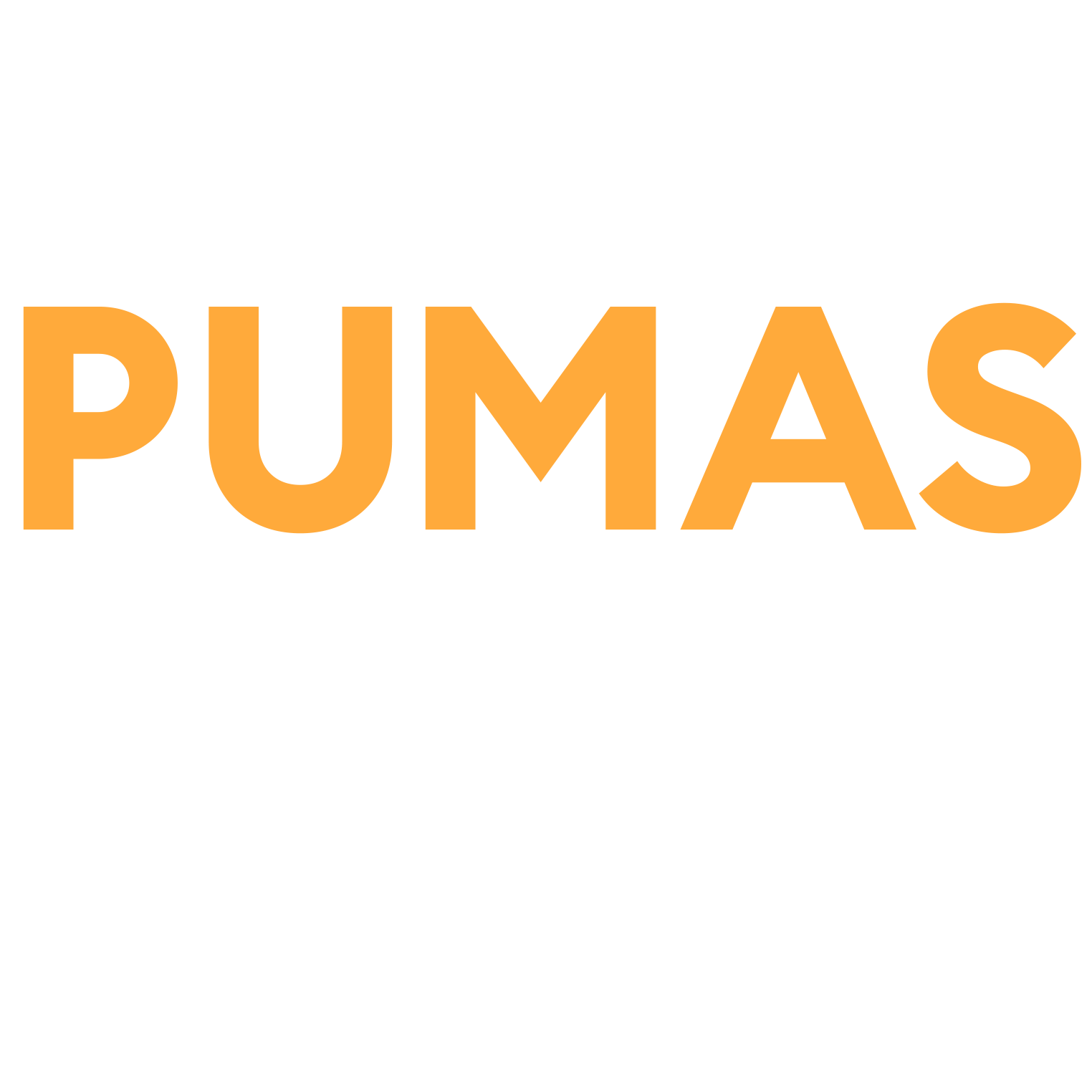 Pumas - Legenden der Anden