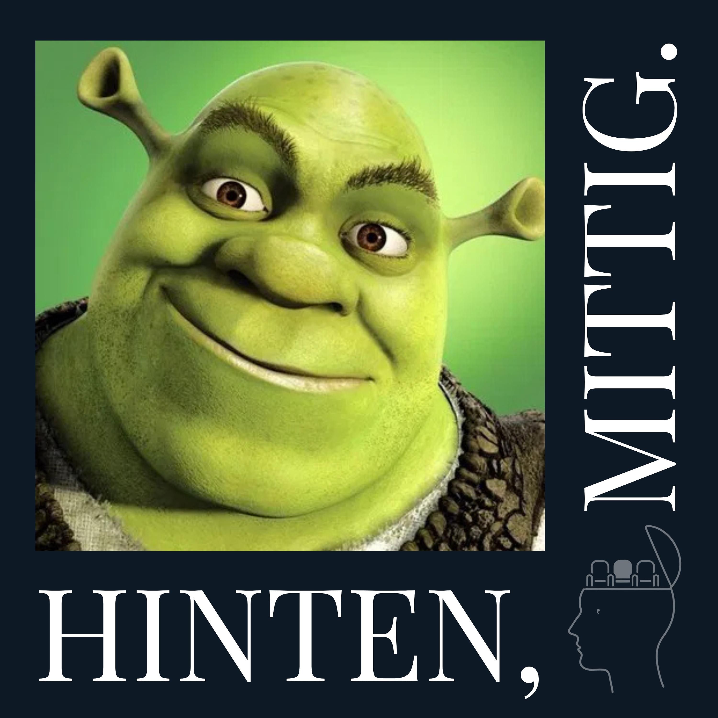 Erinnerungen an: "Shrek" (2001)
