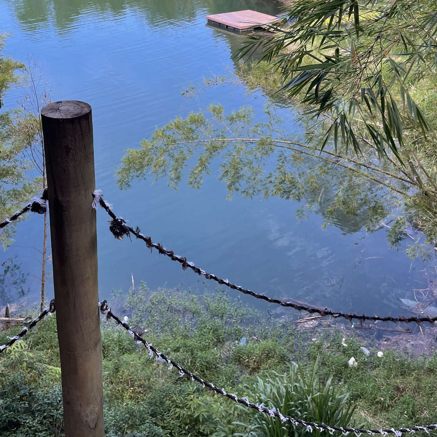 Mi, 15.07. Entspannt einschlafen - Der Pfosten, das Seil und das stille Wasser