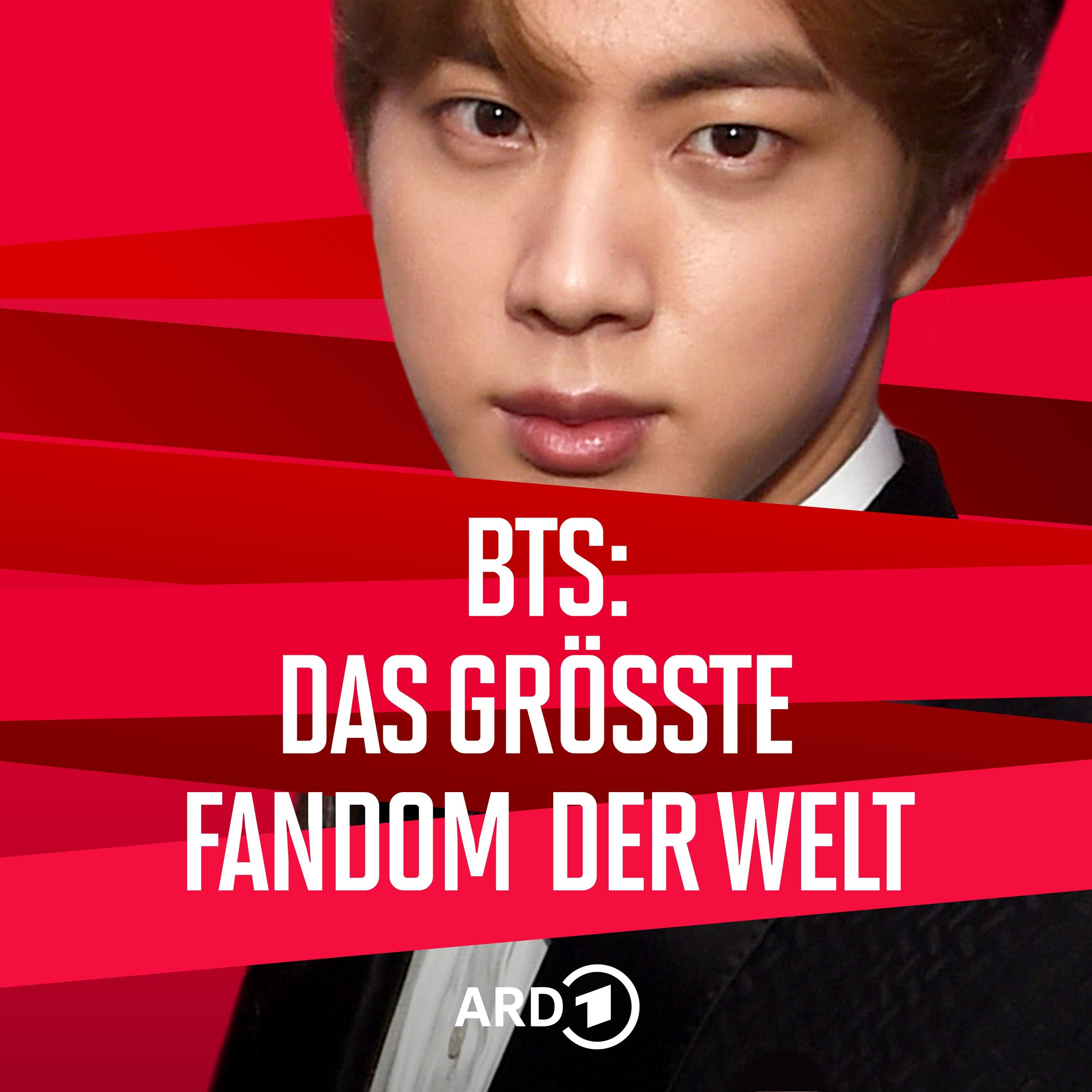 Magic Shop: Wenn Fans zur ARMY werden (3/6)