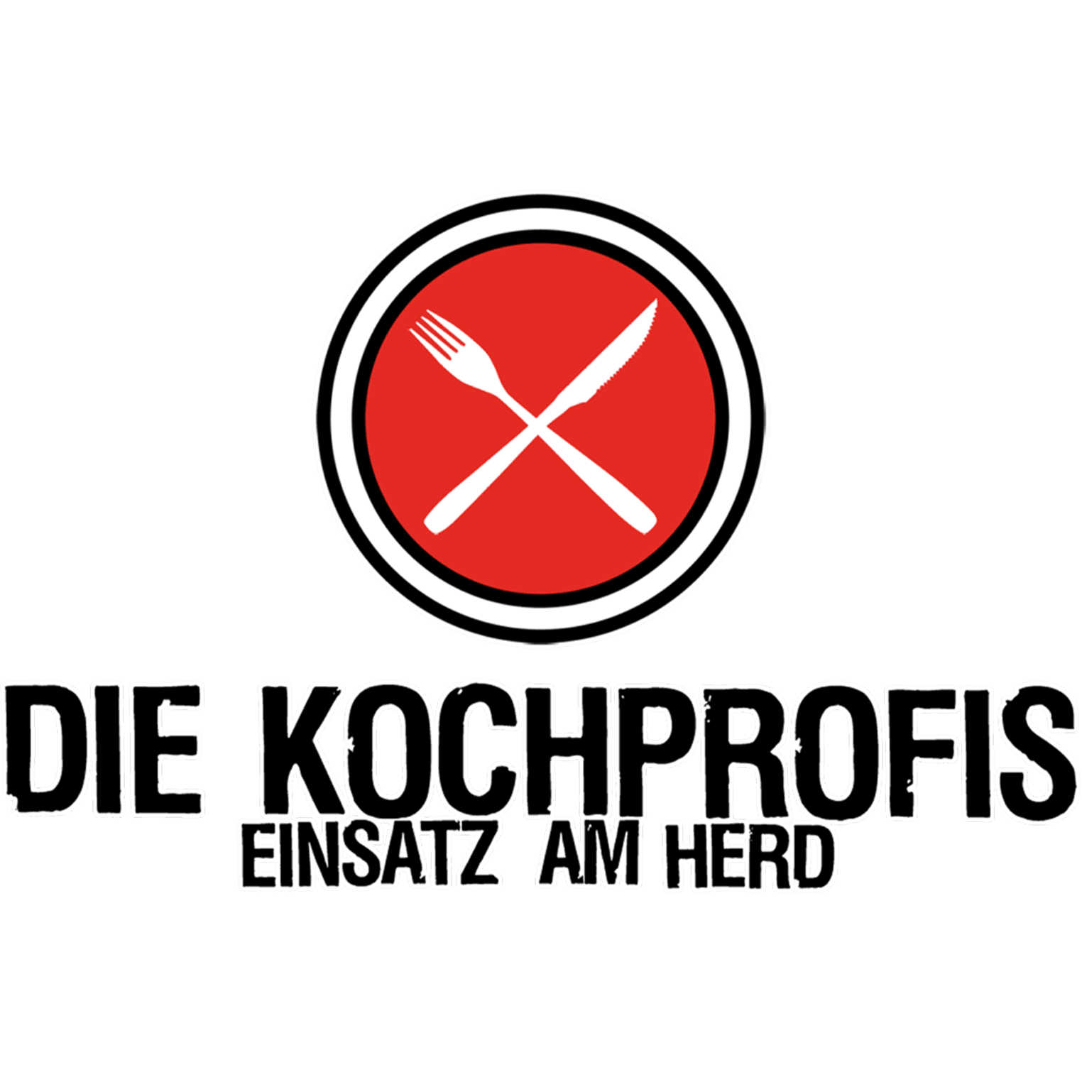 Die Kochprofis - Einsatz am Herd