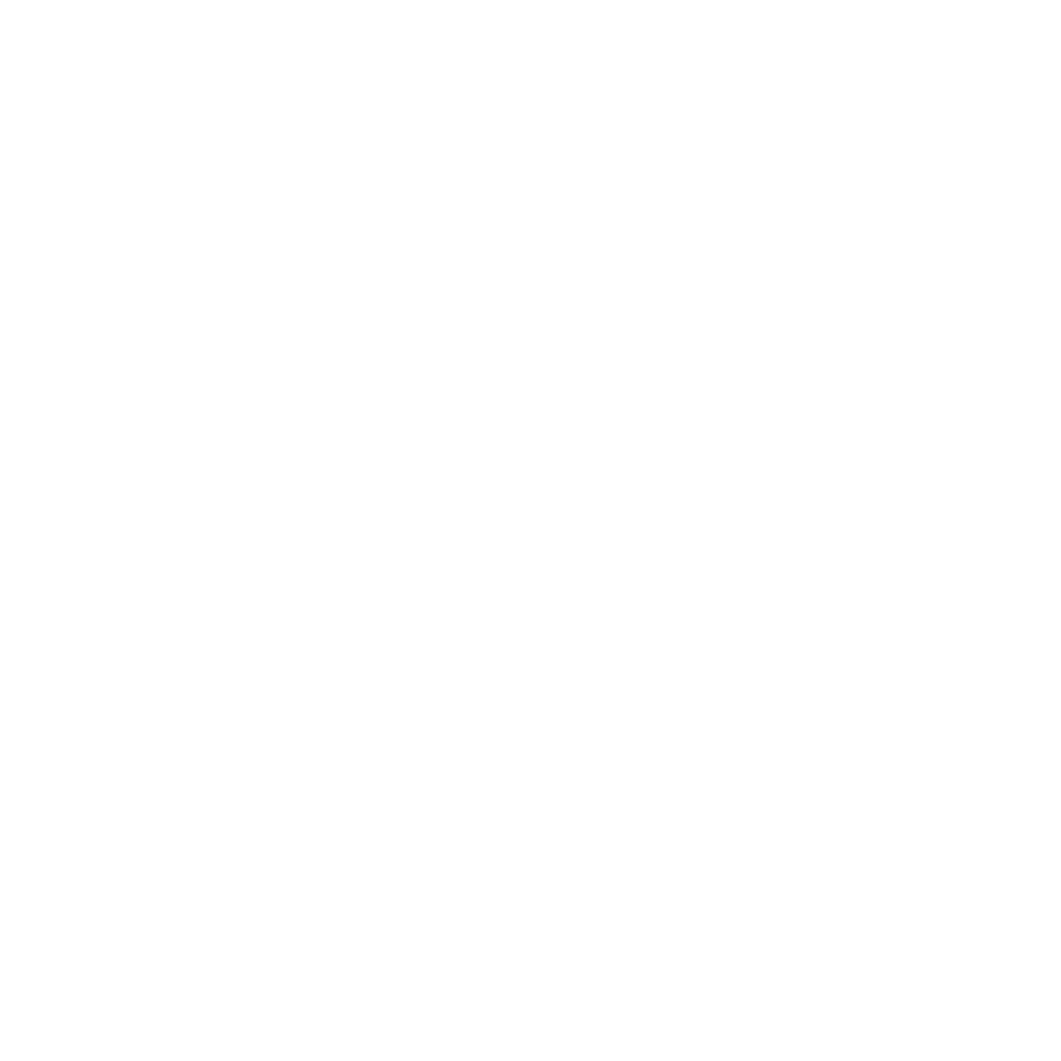 100 Dinge