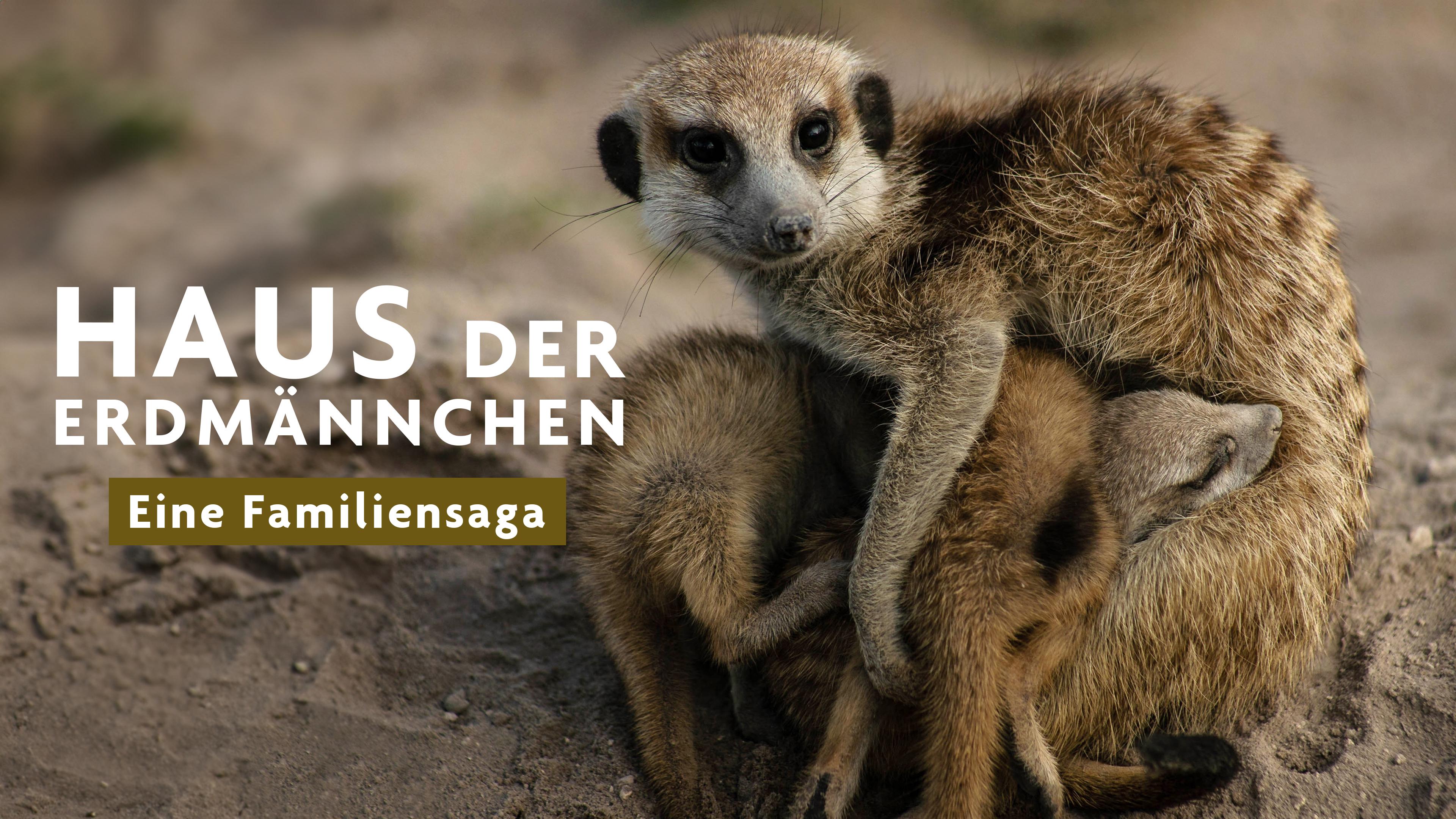 Haus der Erdmännchen - Eine Familiensaga