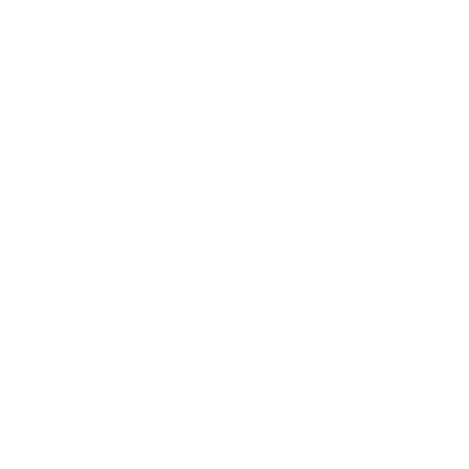 100 Tage - Meilensteine der Zeitgeschichte