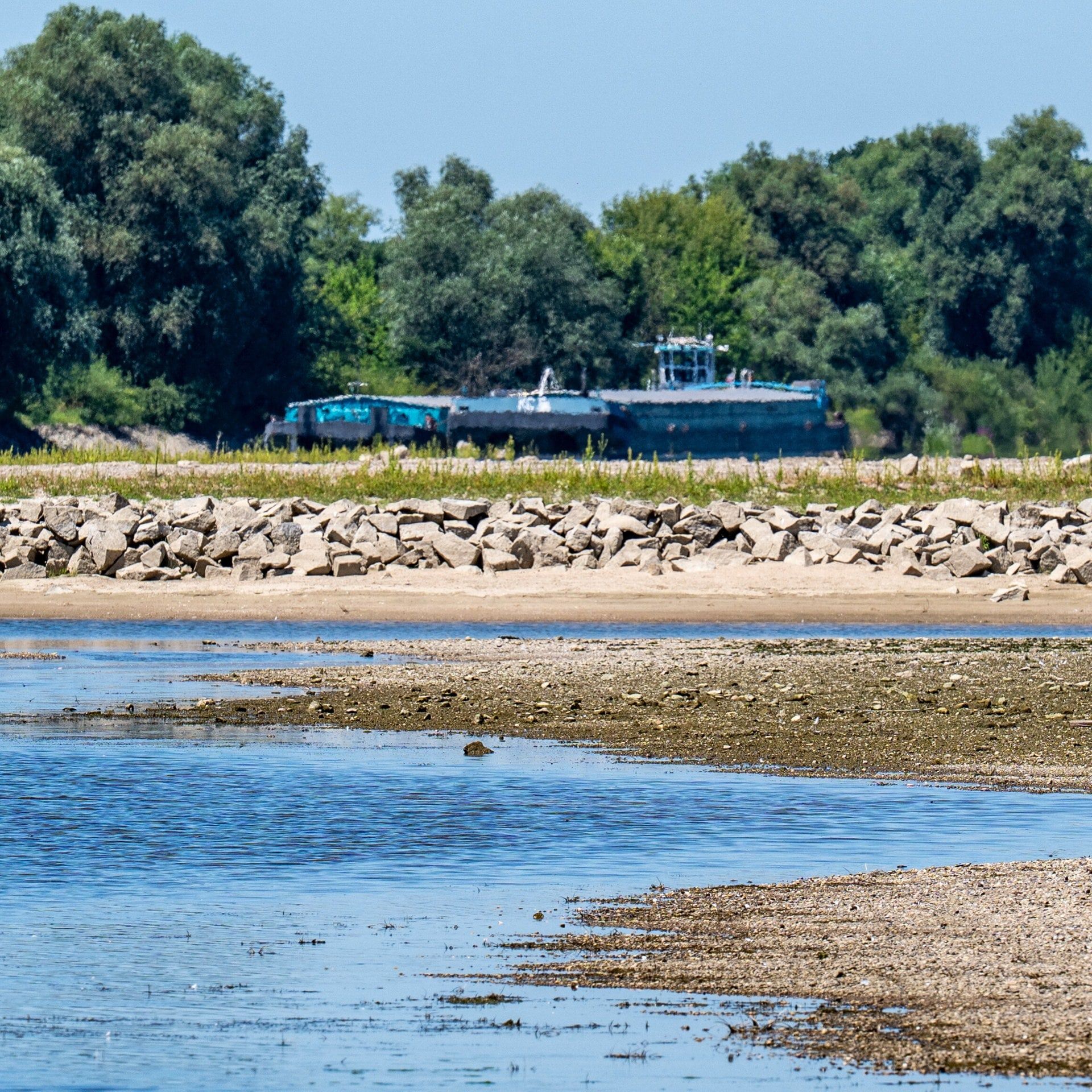 Wenig Wasser in Rhein und Donau – Folgen für Schifffahrt, Energie und Fische