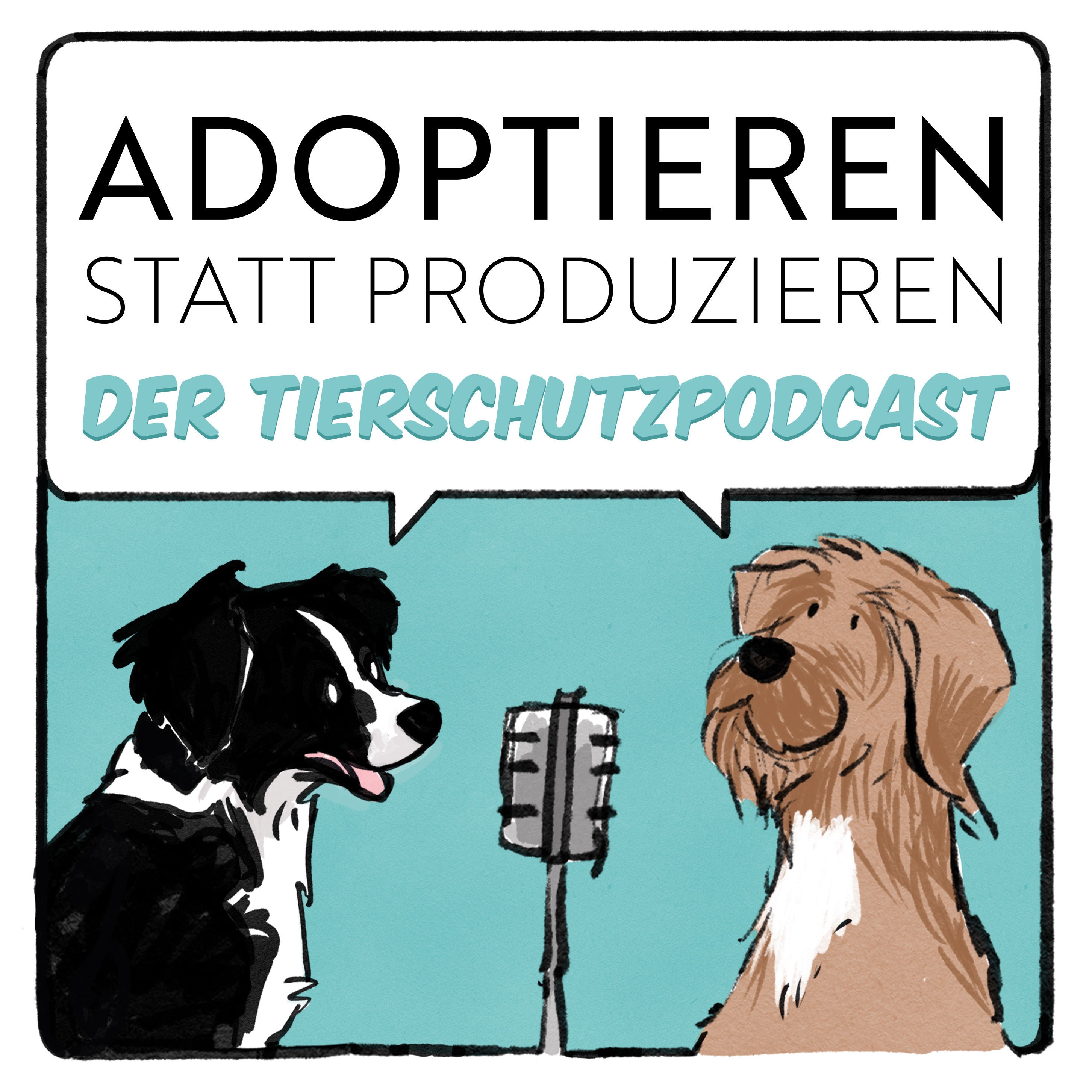 Romy: Welche neuen Erkenntnisse gibt es zum illegalen Welpenhandel?