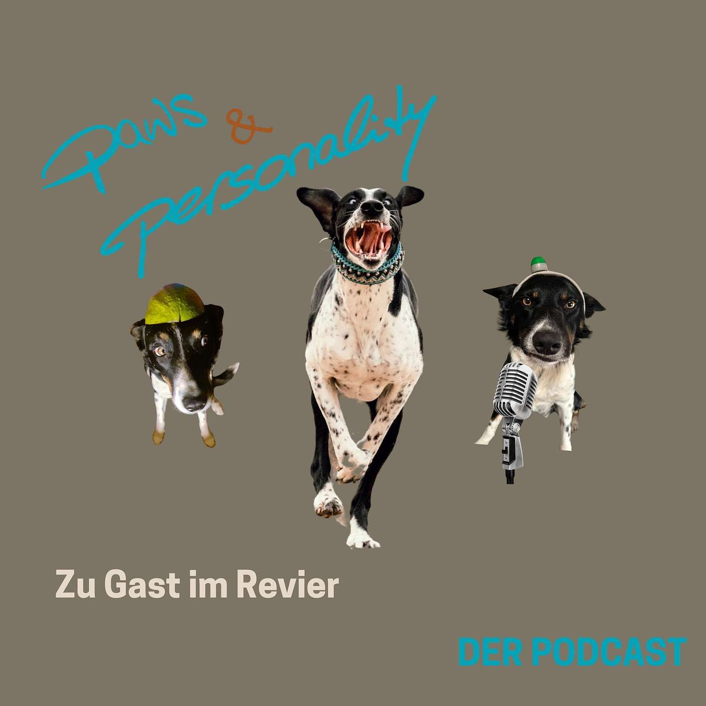 Zu Gast im Revier - Sonja Heidbrink über Filmhunde