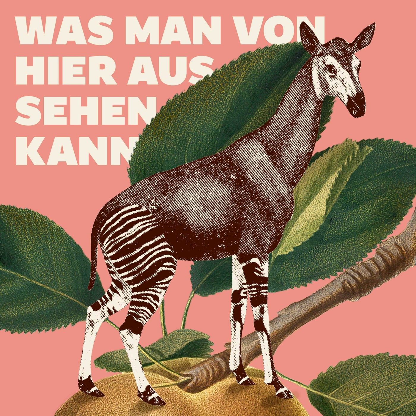 Mariana Leky: Was man von hier aus sehen kann (1/3) - Bestseller-Liebesgeschichte
