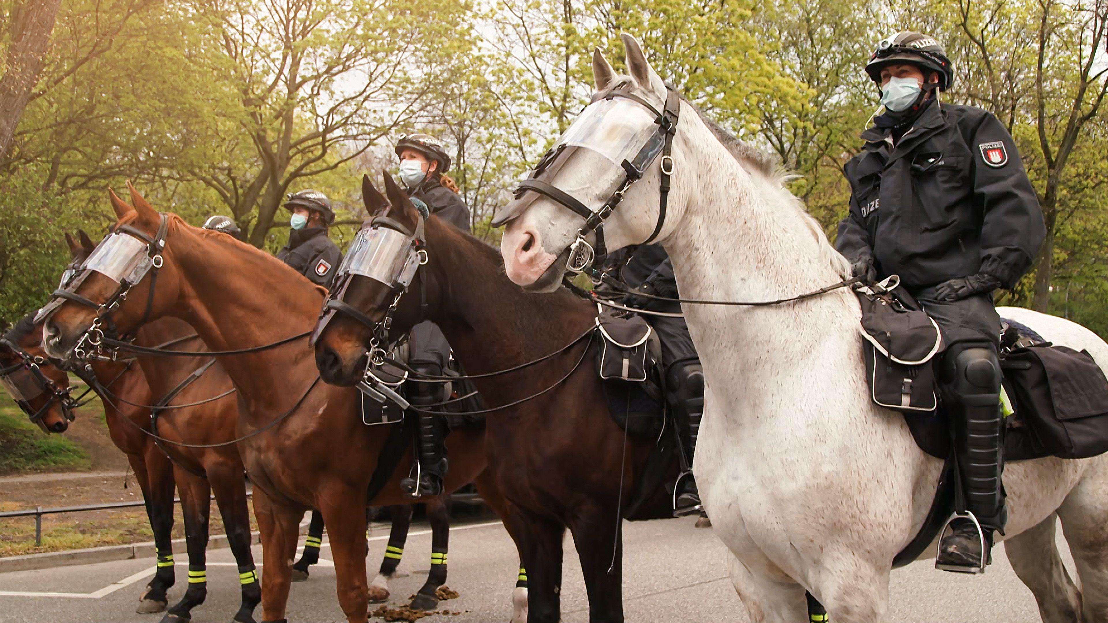 Polizeipferde im Einsatz