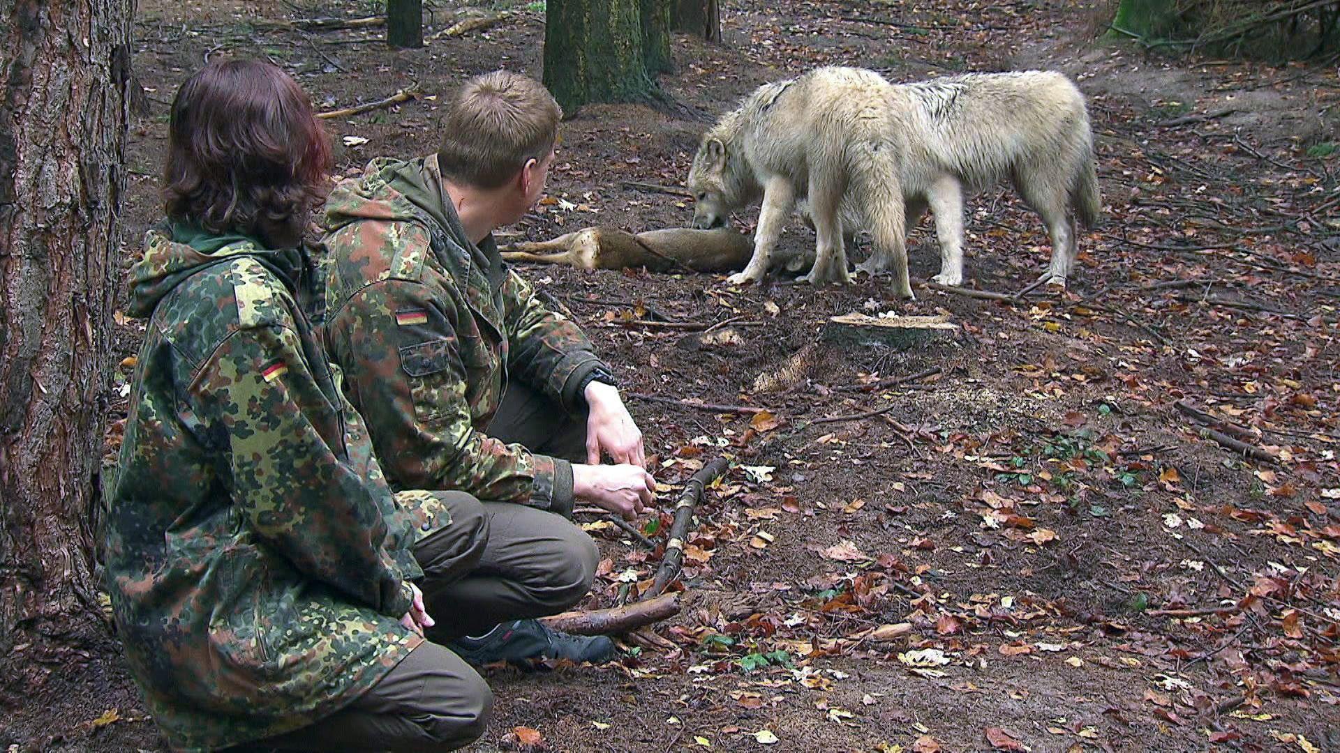 Wenn der Wolf kommt - Angst im Lichtenmoor
