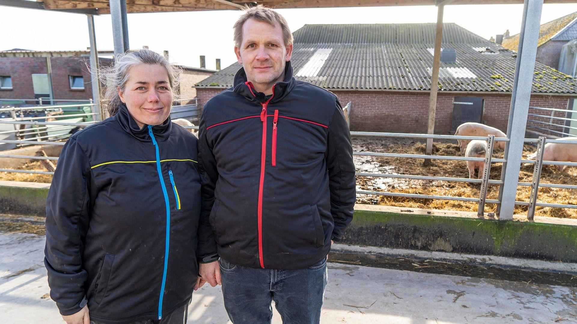 Schwein gehabt - Vom Nutzvieh zum tierischen Kumpel