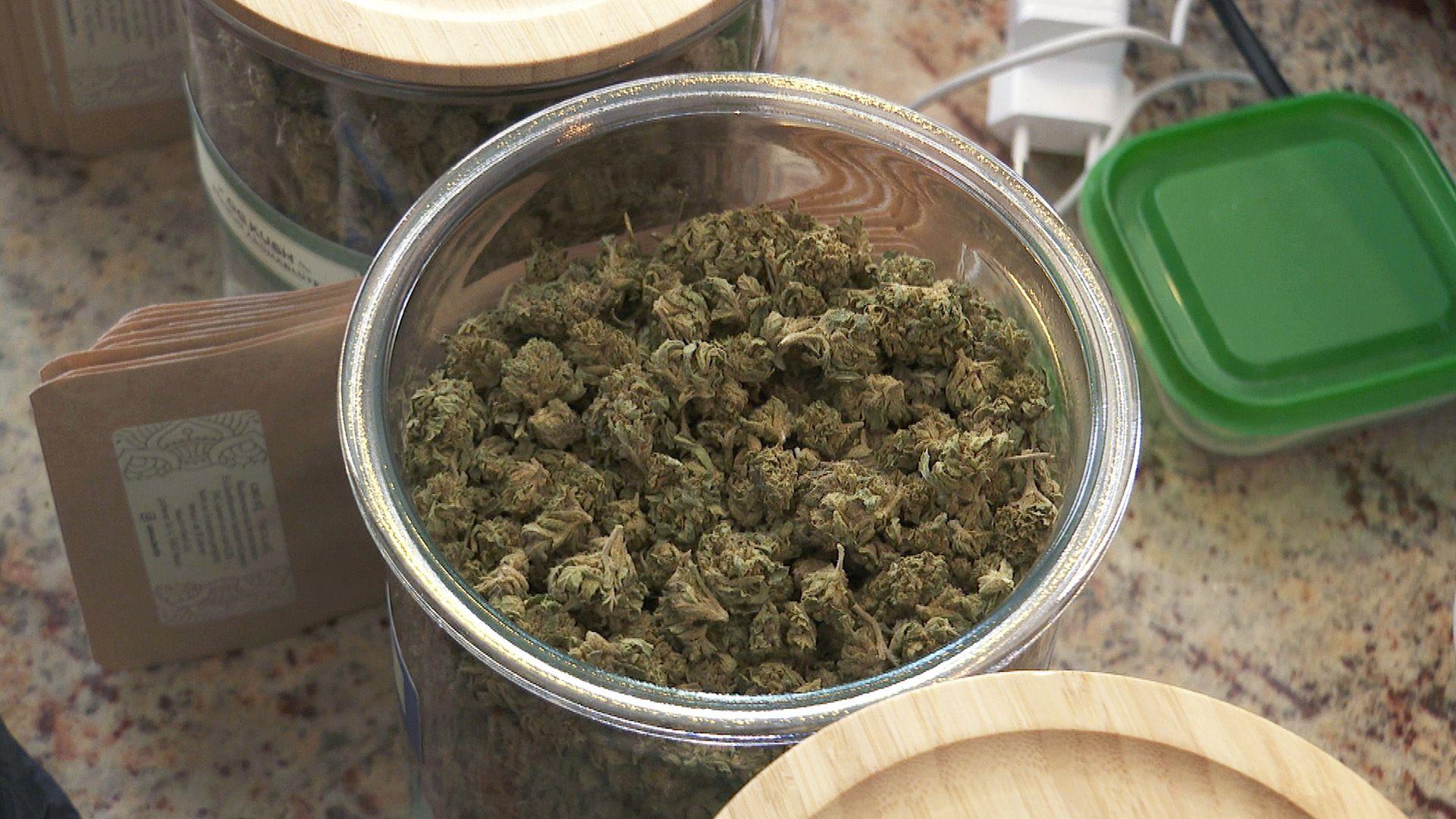 Bekifftes Deutschland? Das neue Geschäft mit Cannabis