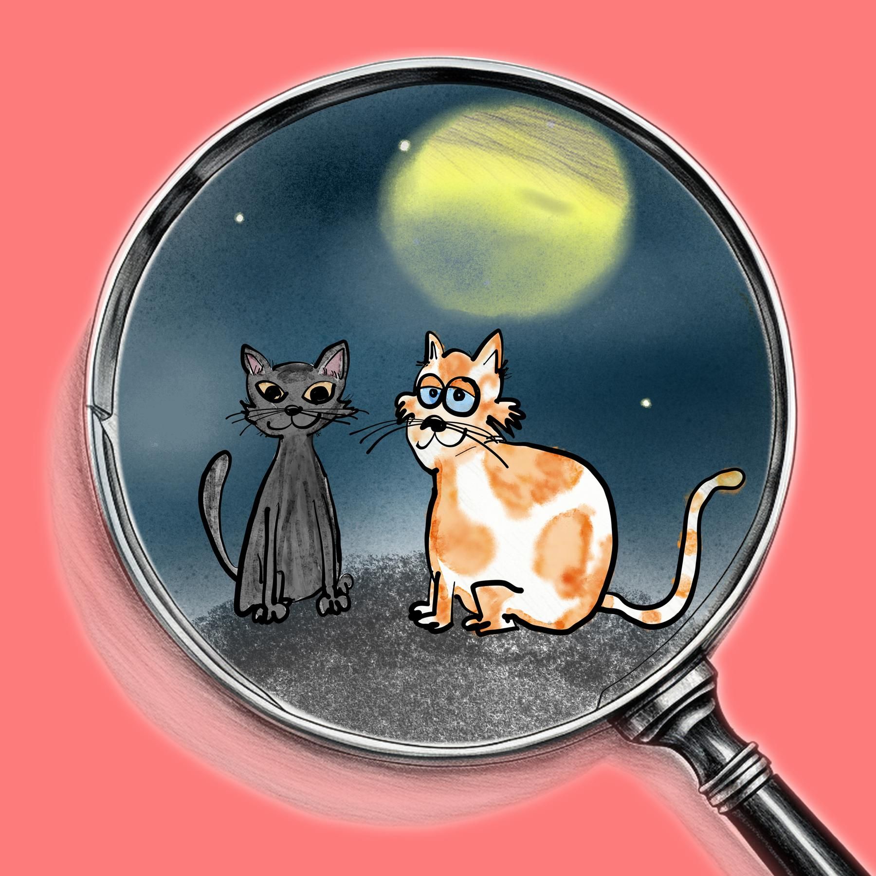 Kater Vivaldi: Schreie in der Mondnacht