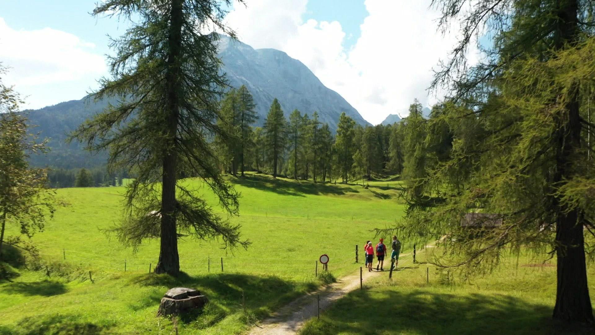 Thema: Urlaub in den Bergen - Neue Konzepte und Trends