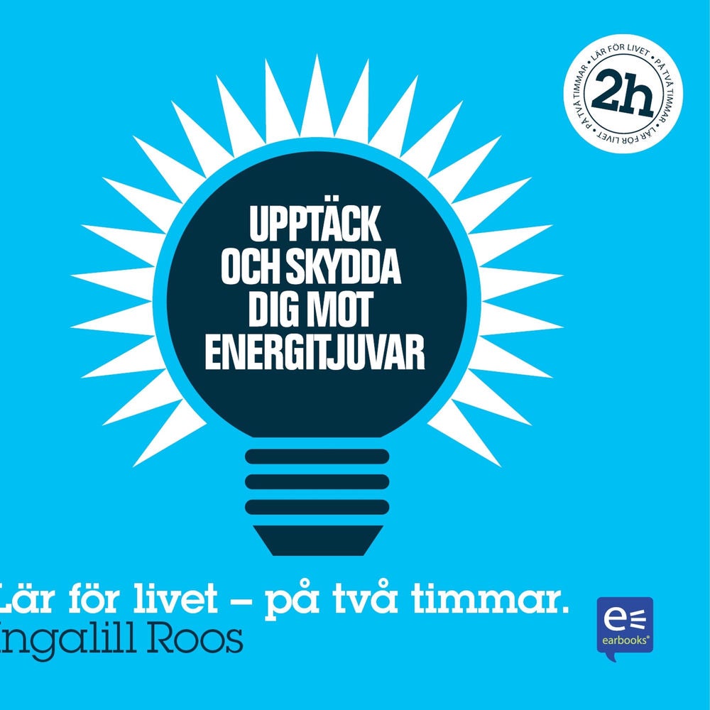 Upptäck och skydda dig mot energitjuvar : På en timme