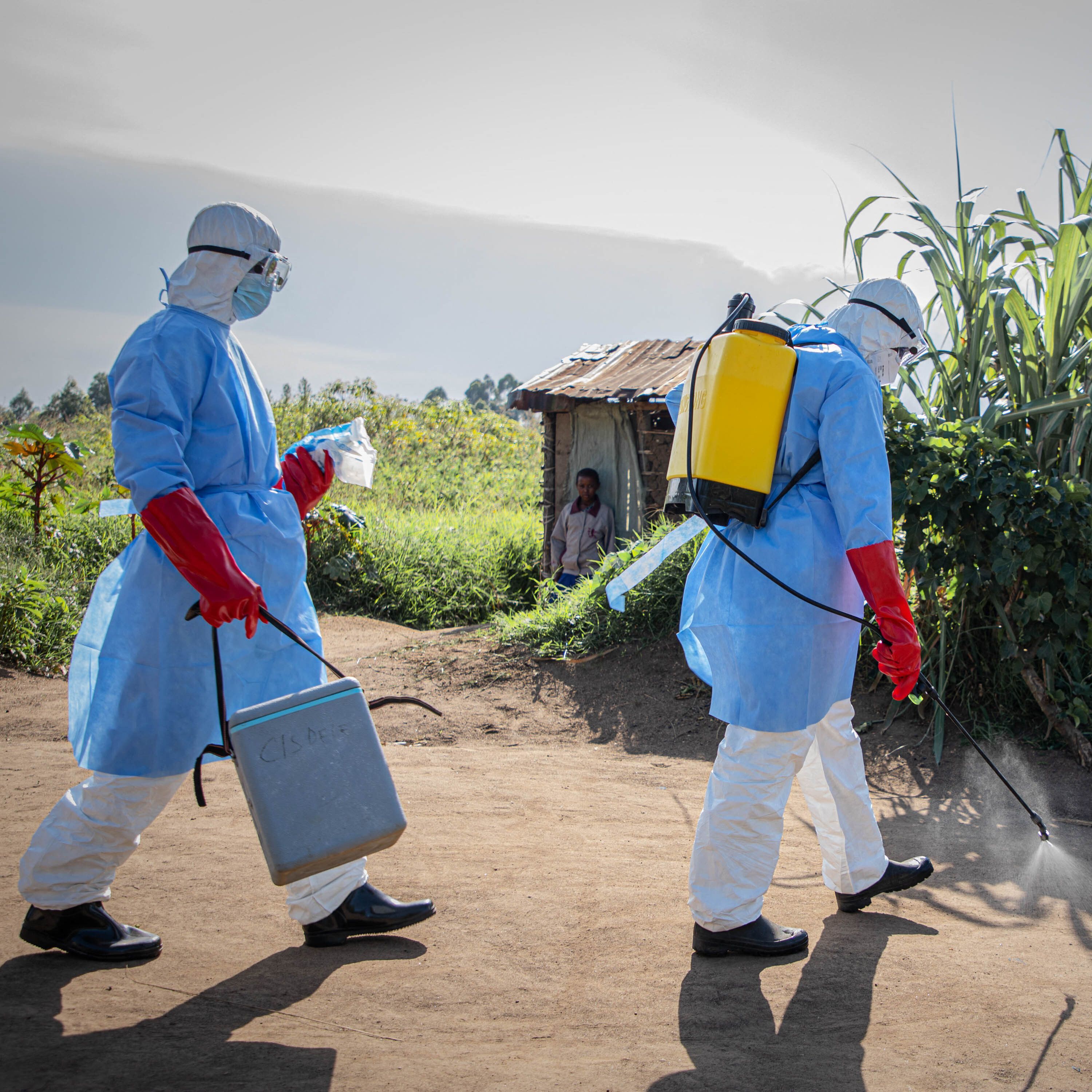 Auf der Suche nach Ebola-Patient null
