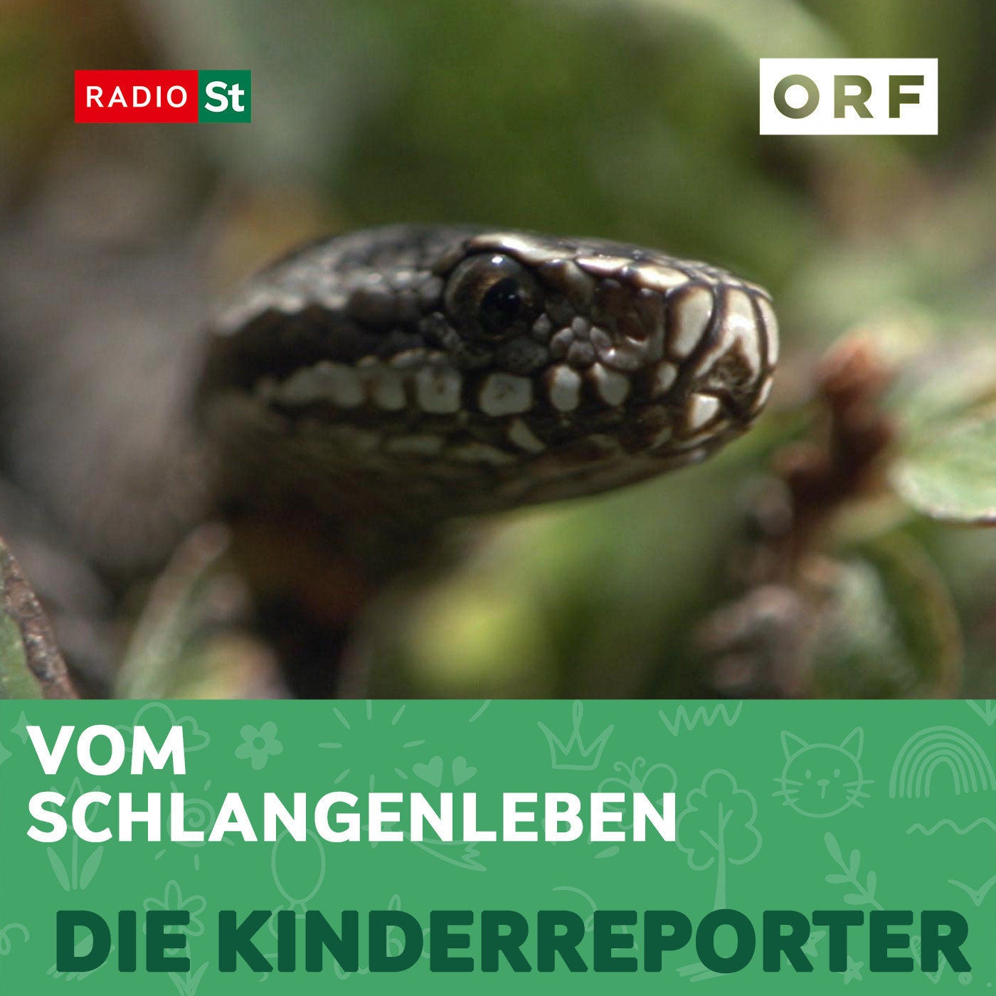 Vom Schlangenleben