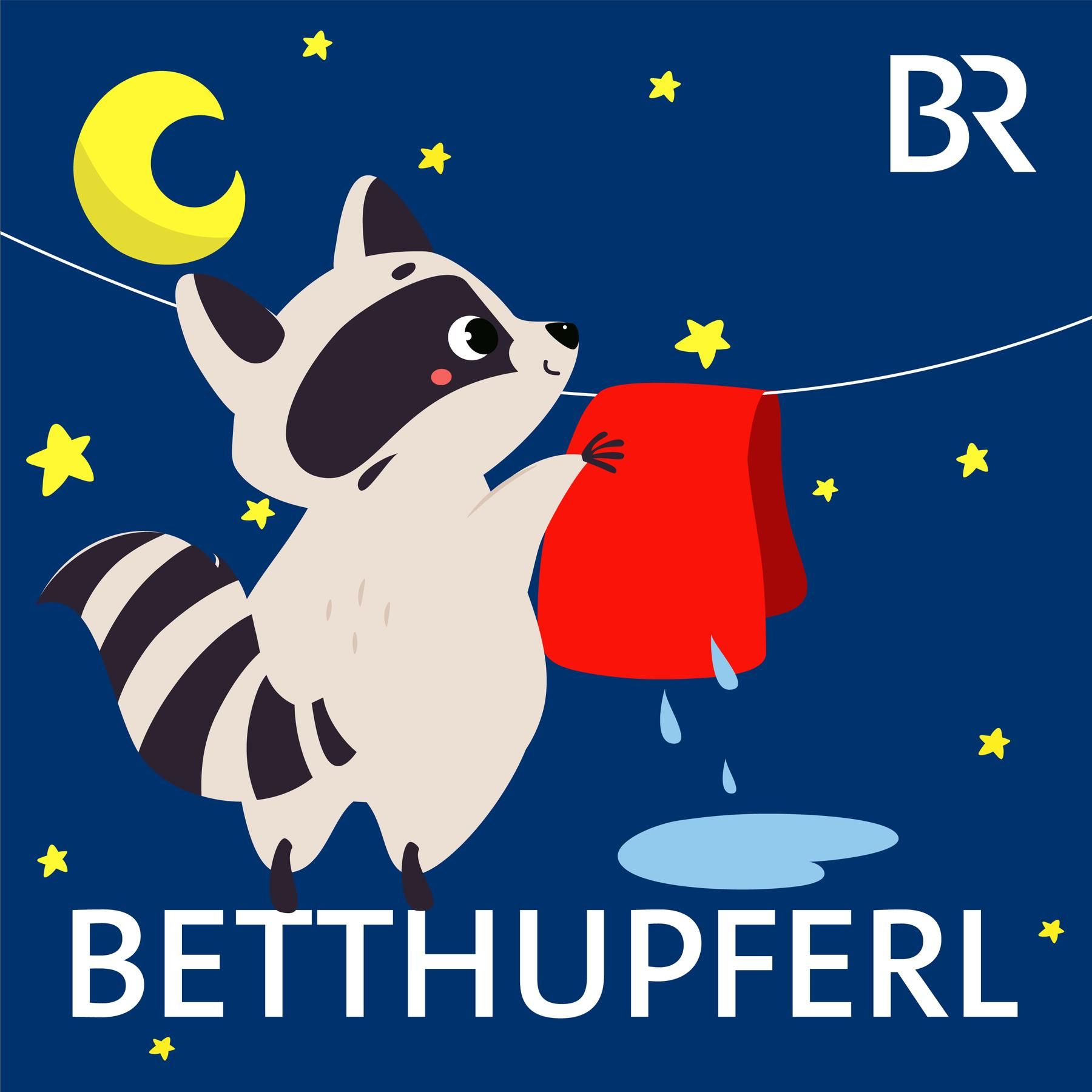 Waschbär Wugg: Schlaftag | Eine Gute-Nacht-Geschichte ab 5 Jahren / Mundart Oberpfalz
