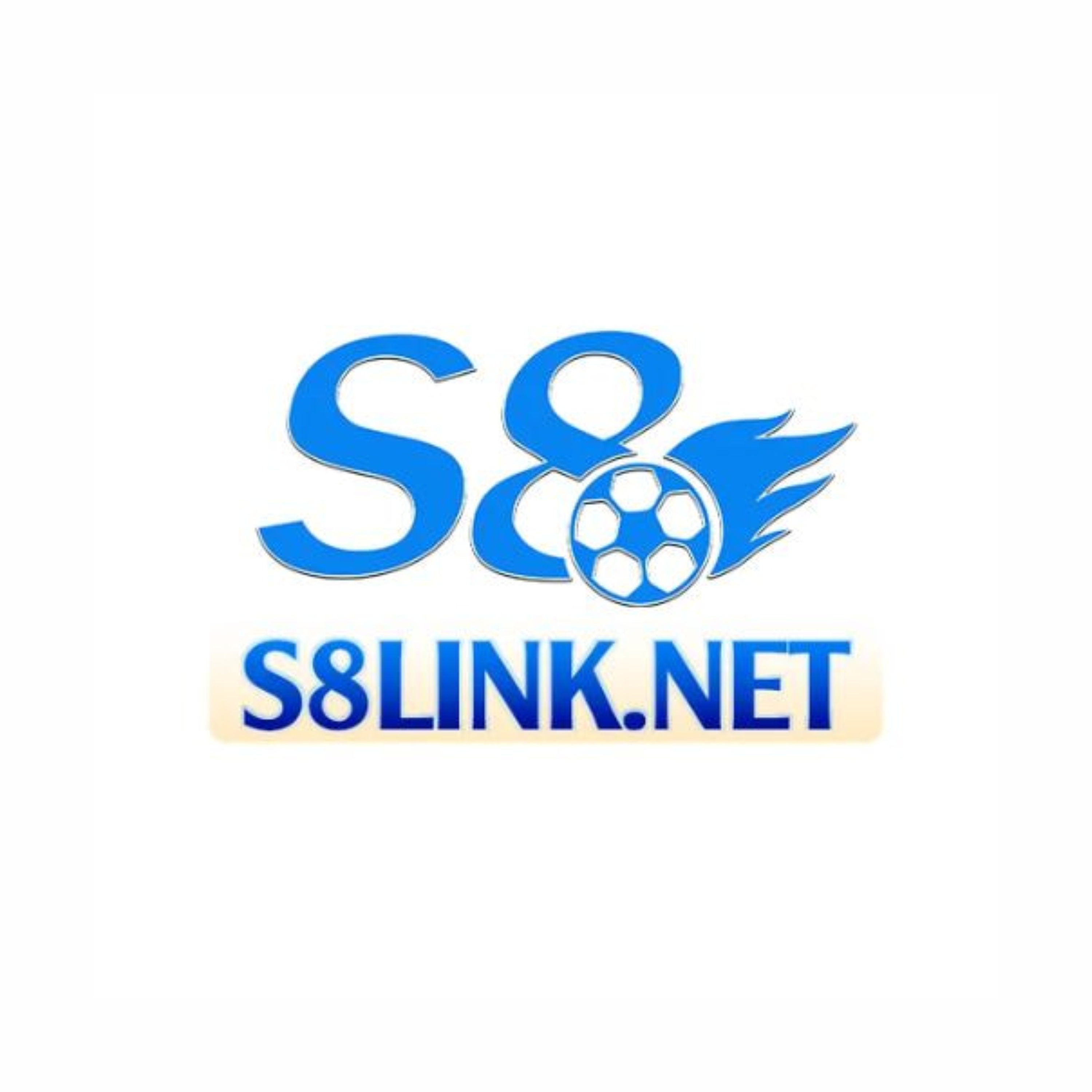 S8linknet