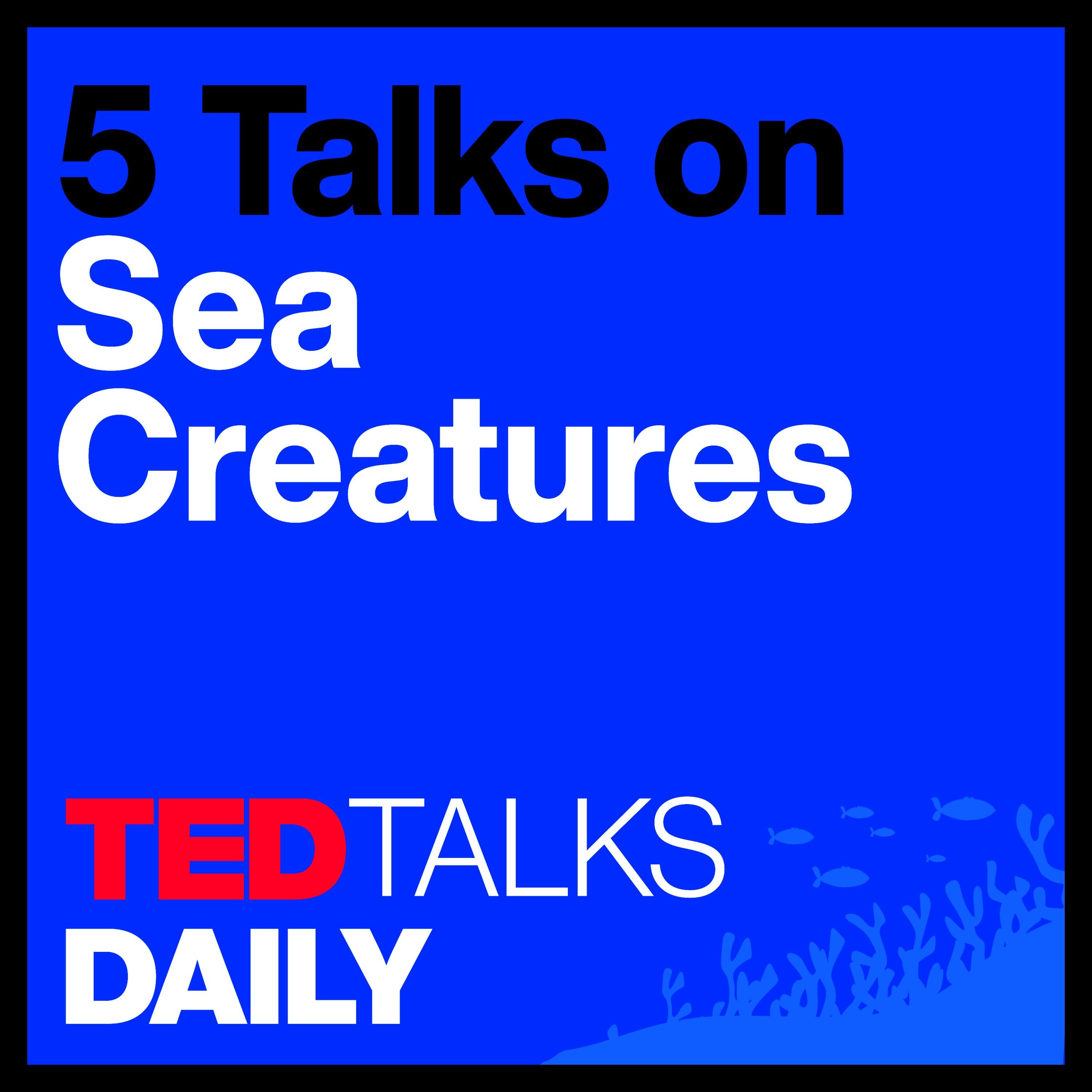The Mystery of Sea Creatures (2/5): A giant Jurassic sea dragon, unearthed | Dean R. Lomax
