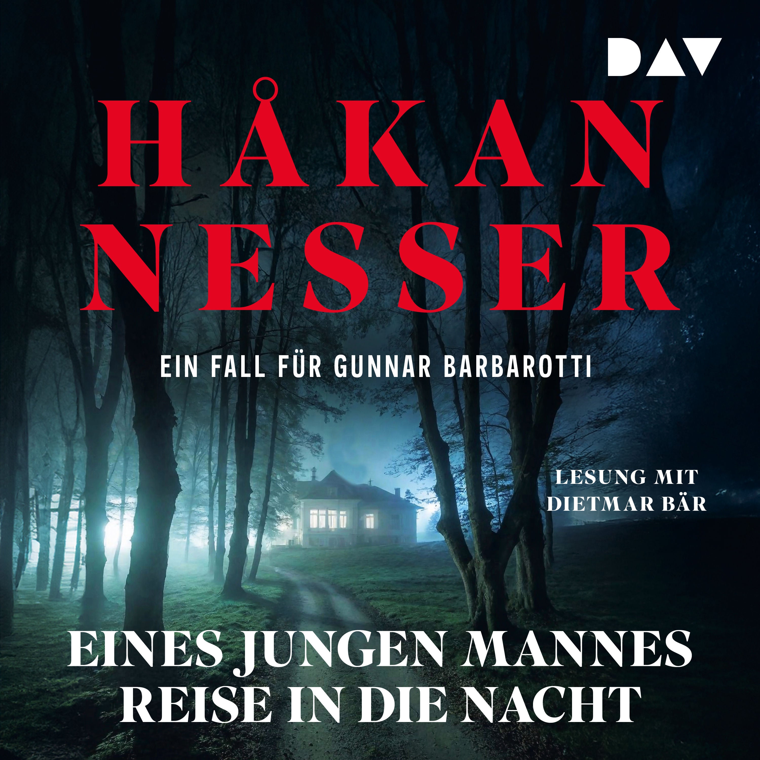 Eines jungen Mannes Reise in die Nacht. Ein Fall für Gunnar Barbarotti