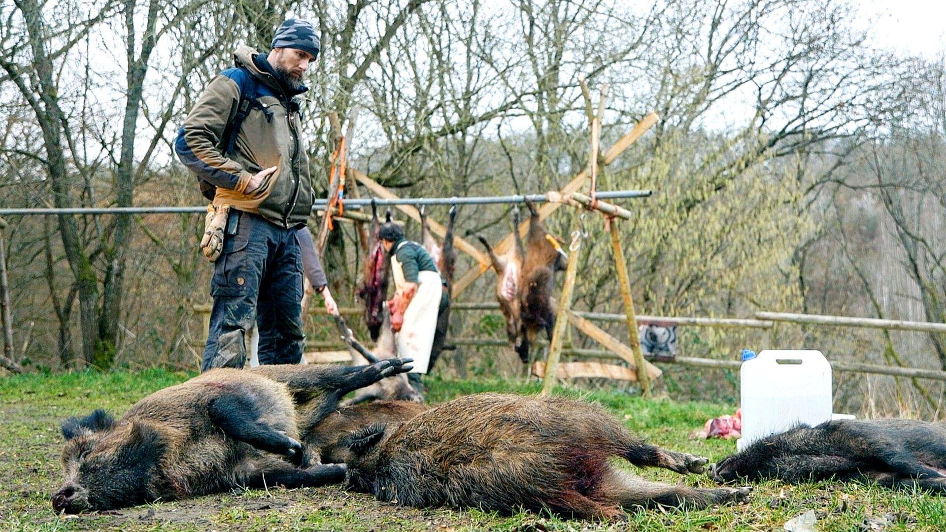 Mission Erde Spezial - Jagdfieber in Deutschland