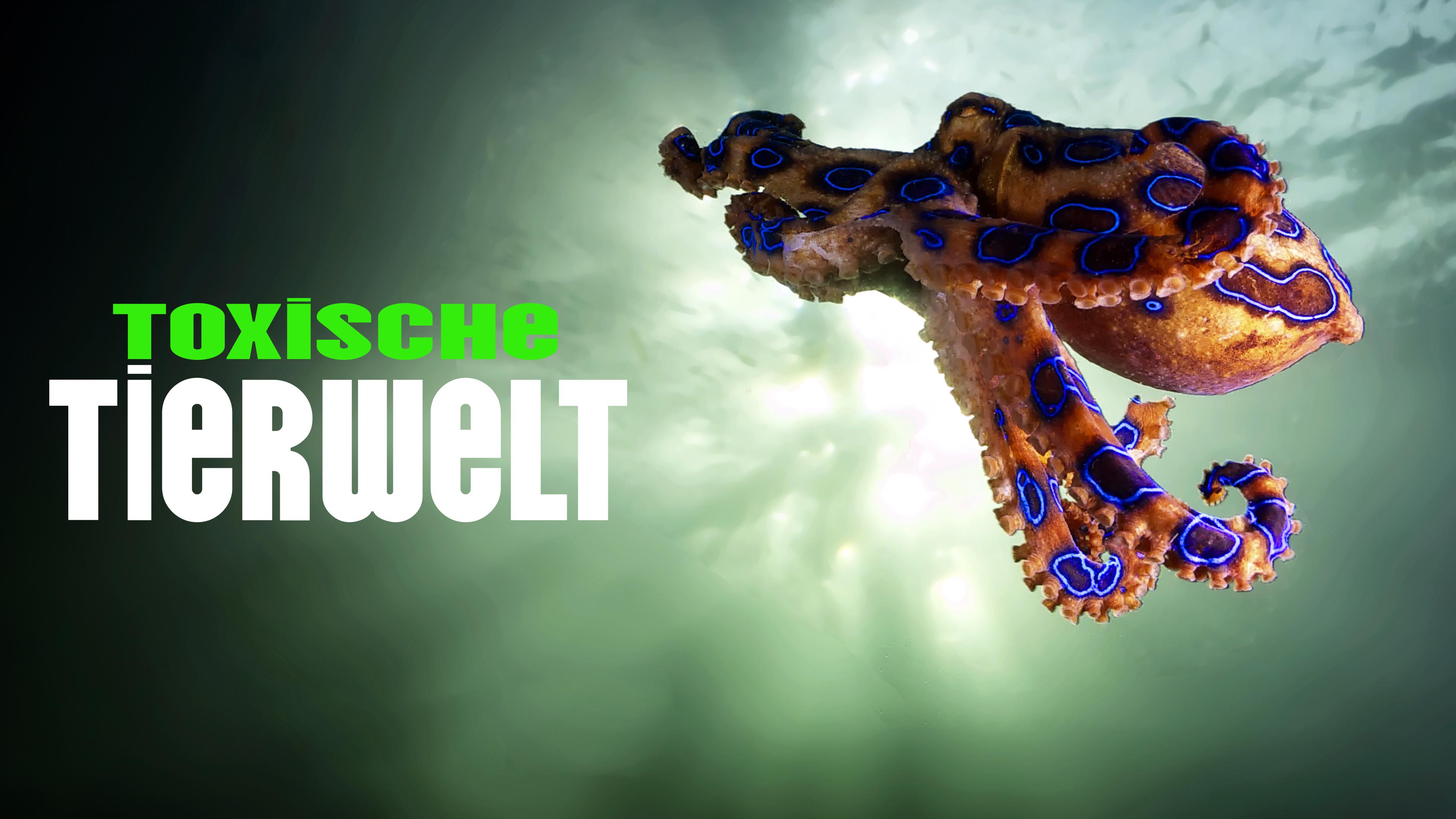 Toxische Tierwelt