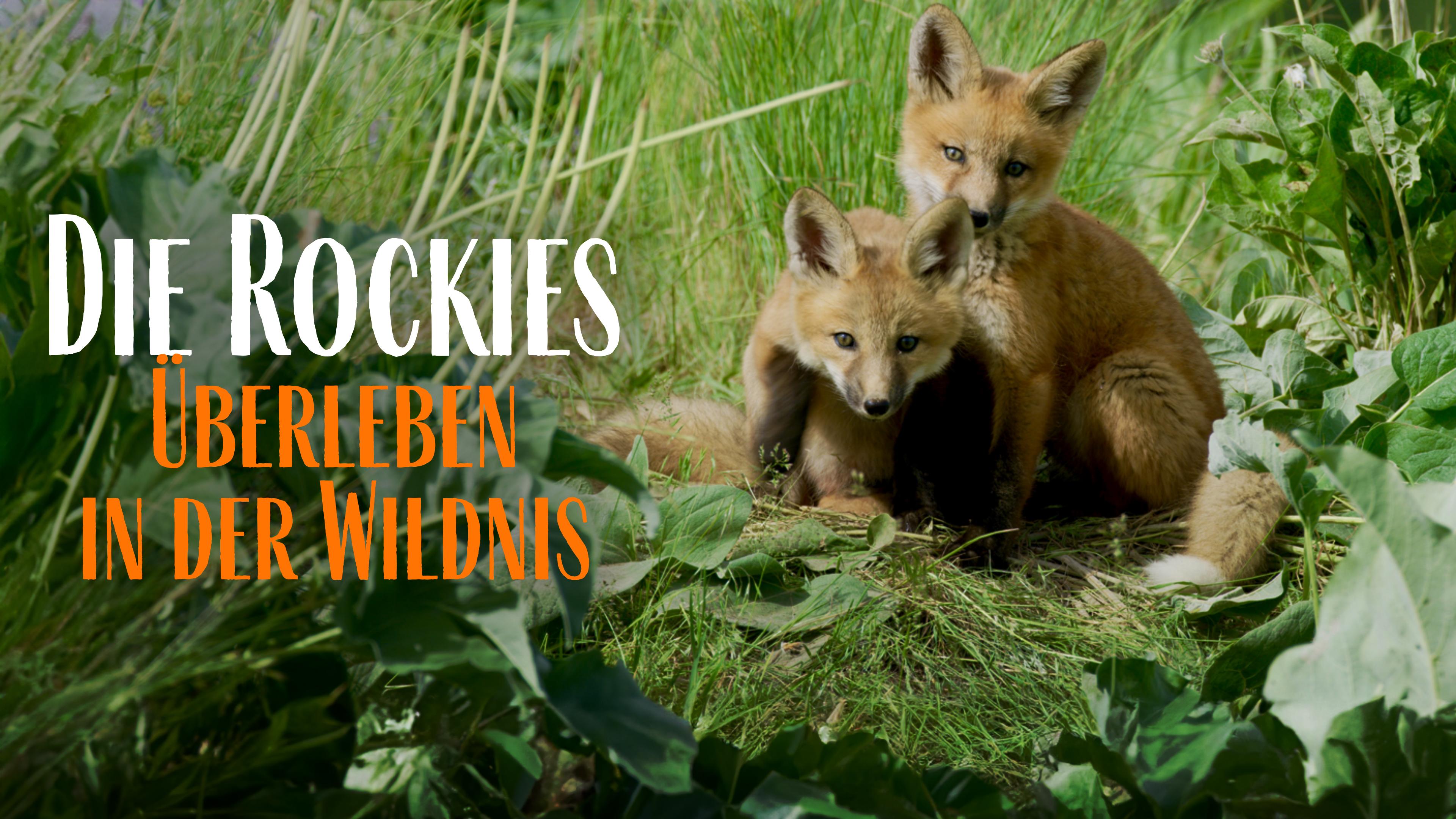Die Rockies - Überleben in der Wildnis