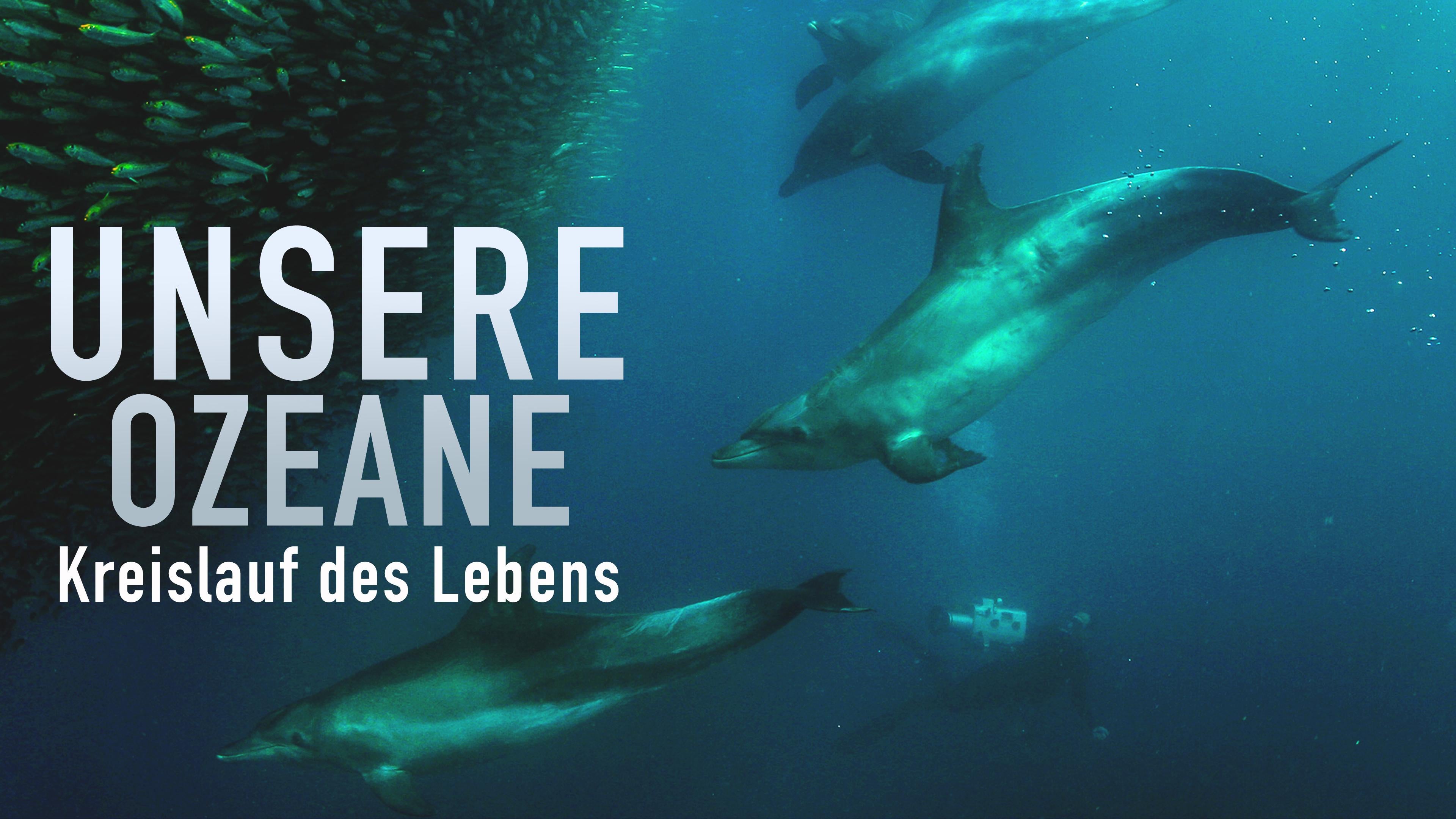 Unsere Ozeane - Kreislauf des Lebens