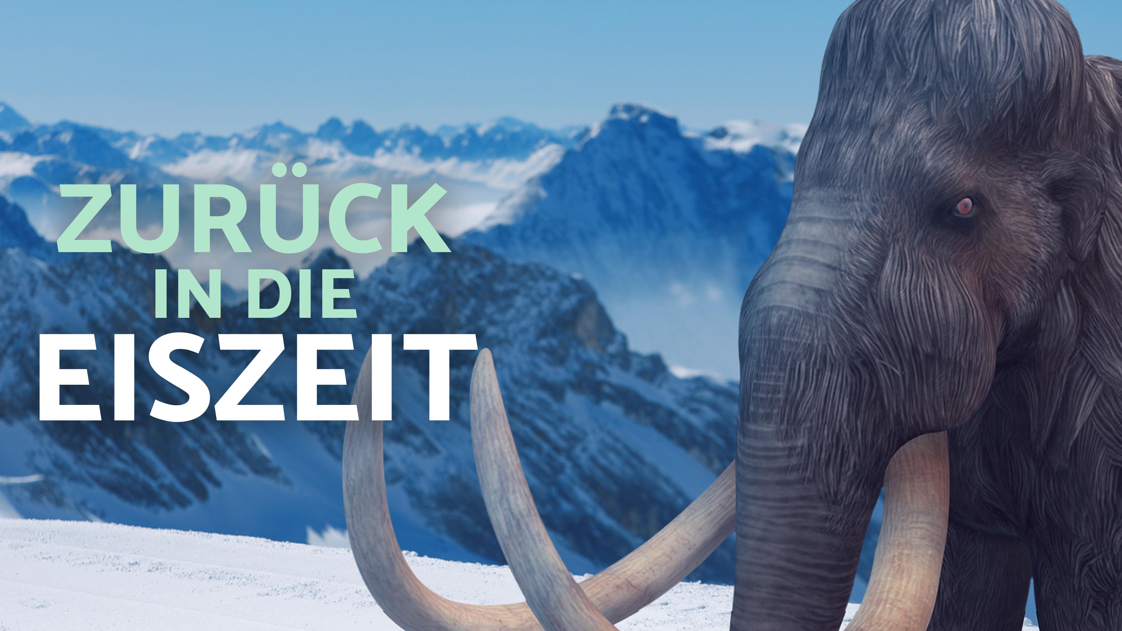 Zurück in die Eiszeit