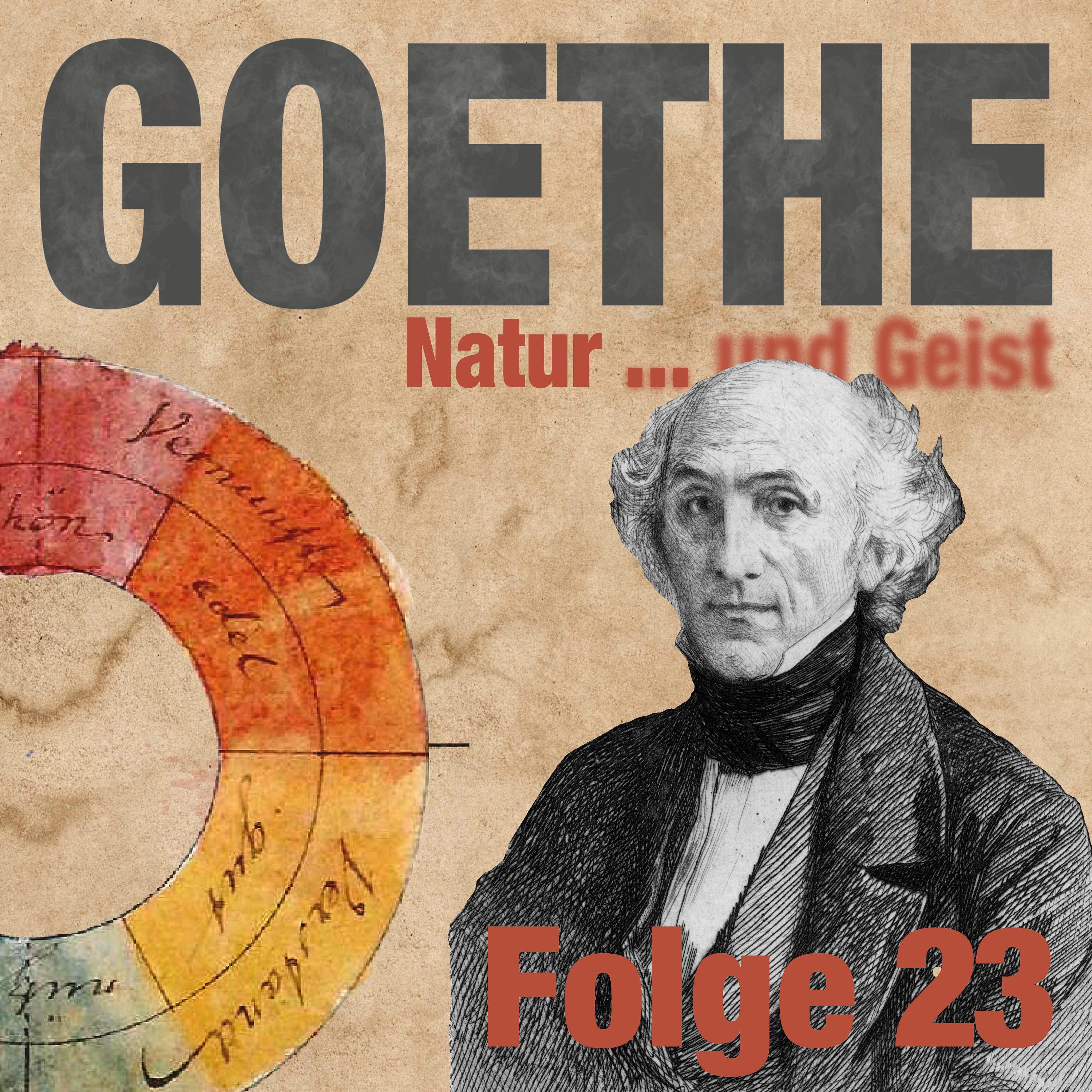 Goethes Helfer: Der feine Herr Soret