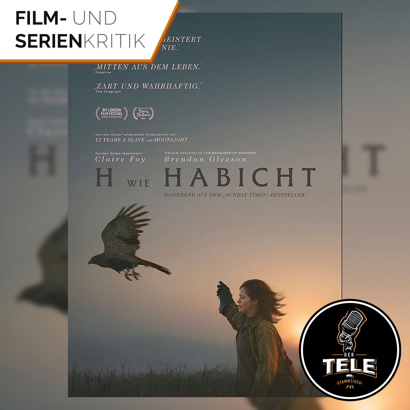 H wie Habicht | Kann die Kraft der Natur gebrochene Herzen heilen?