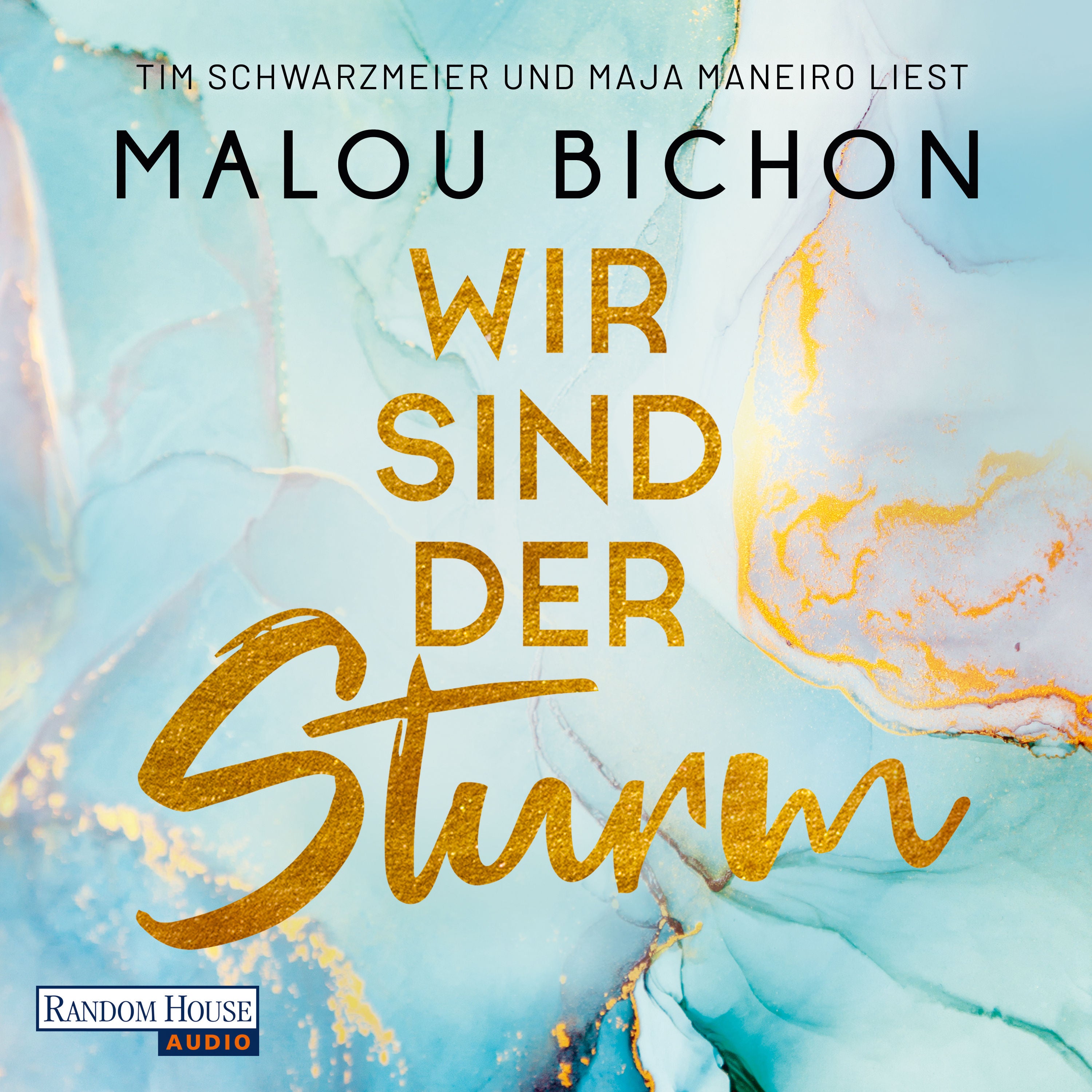 Wir sind der Sturm