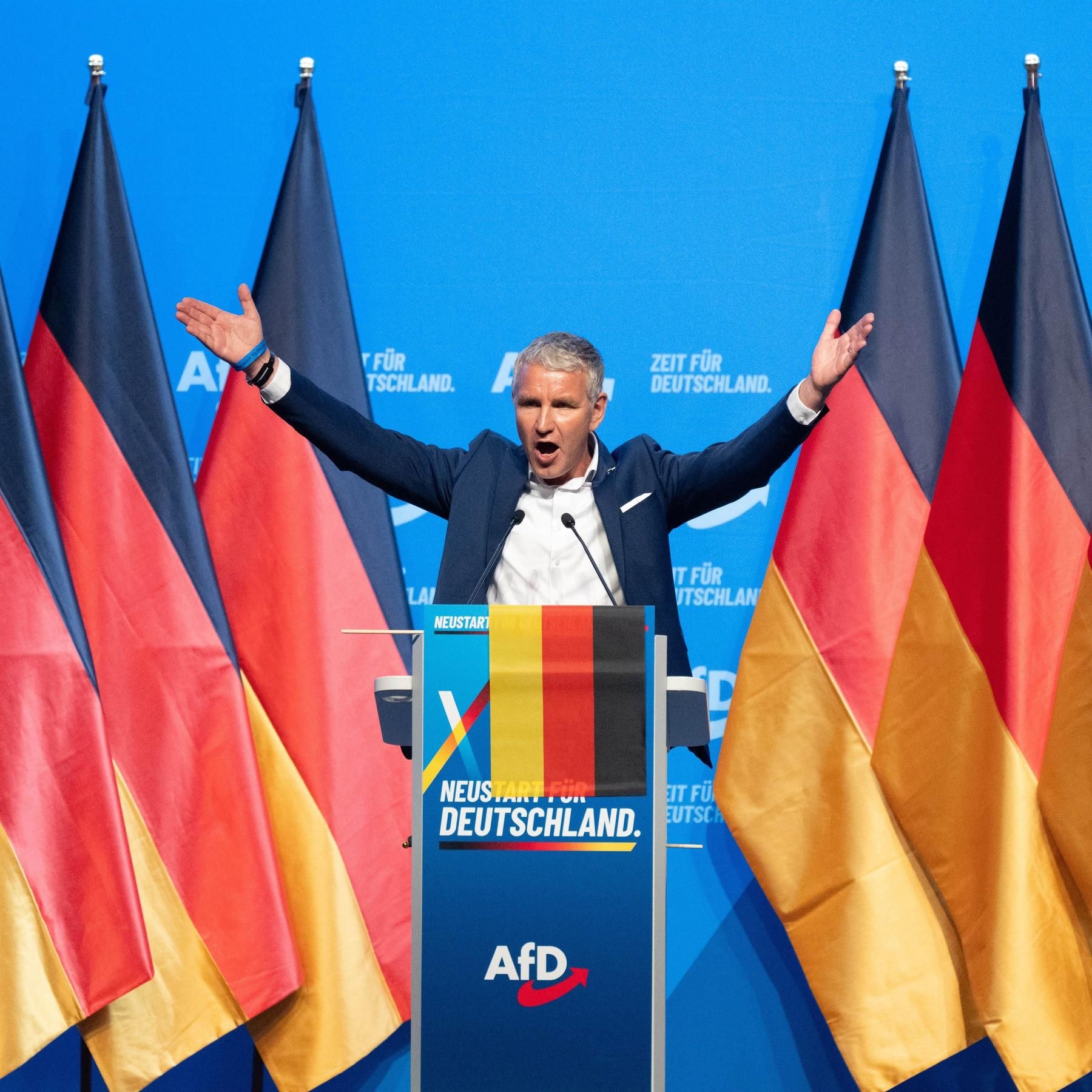 Institut für Menschenrechte wirft AfD Behindertenfeindlichkeit vor