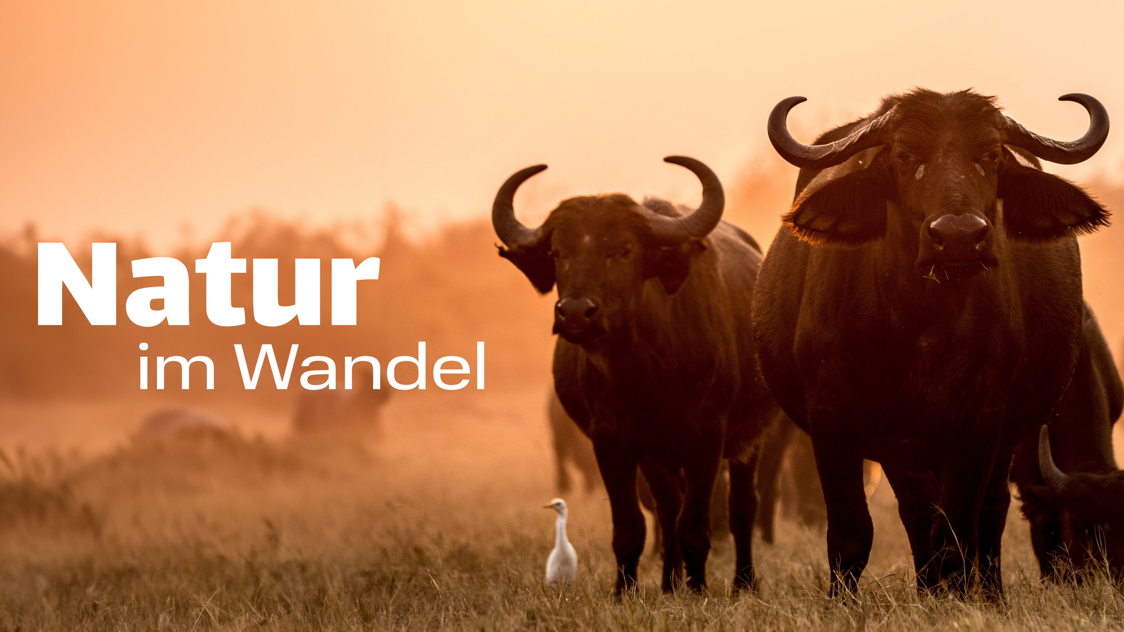 Natur im Wandel