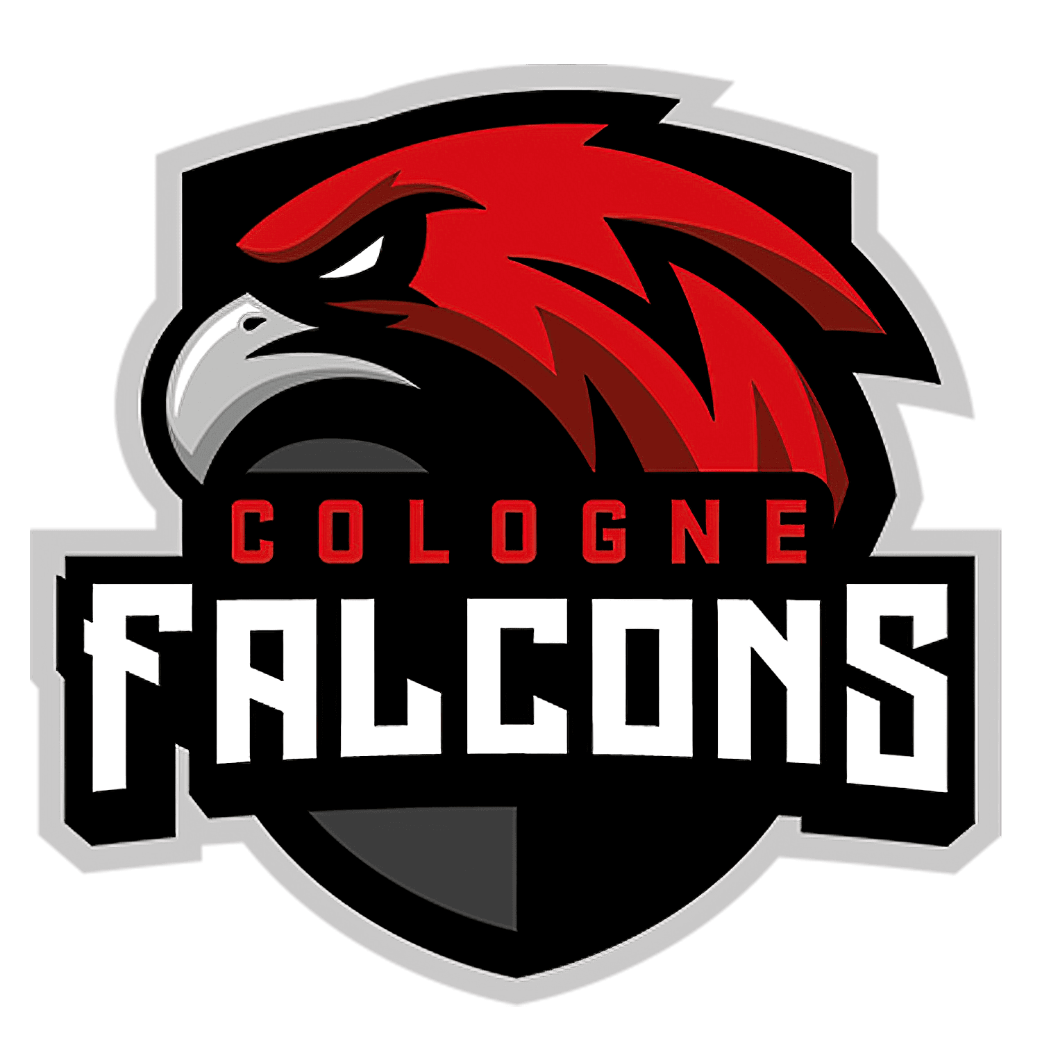 Being a Falcon - Eine Saison mit den Cologne Falcons