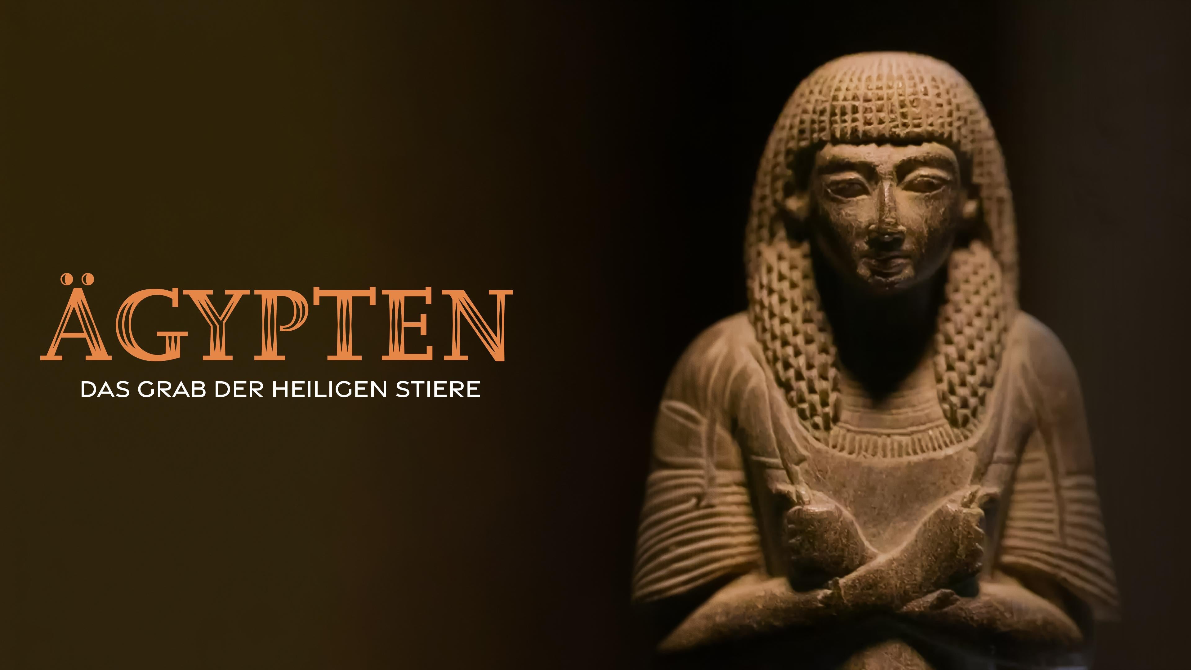 Ägypten - Das Grab der heiligen Stiere