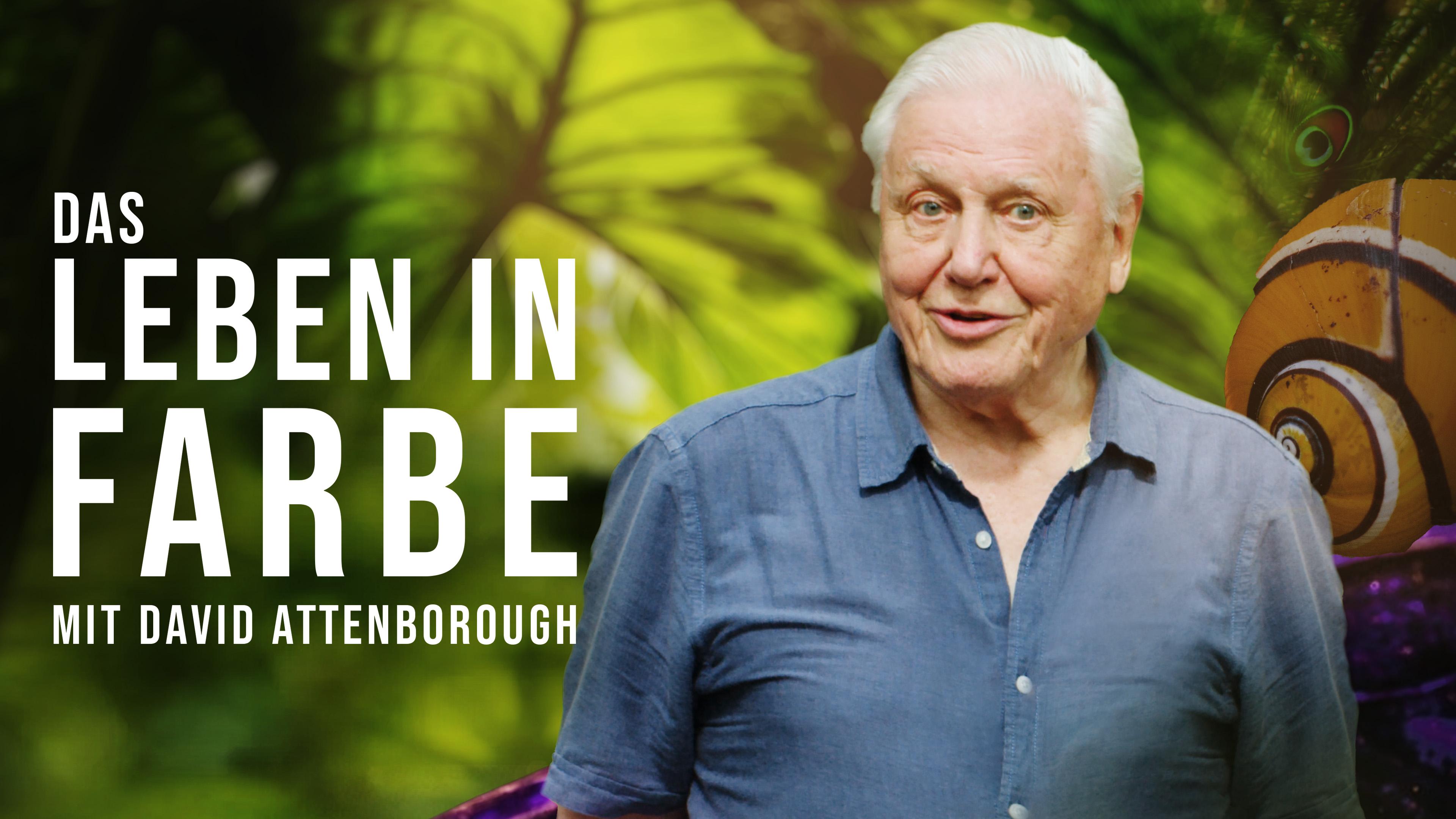 Das Leben in Farbe mit David Attenborough