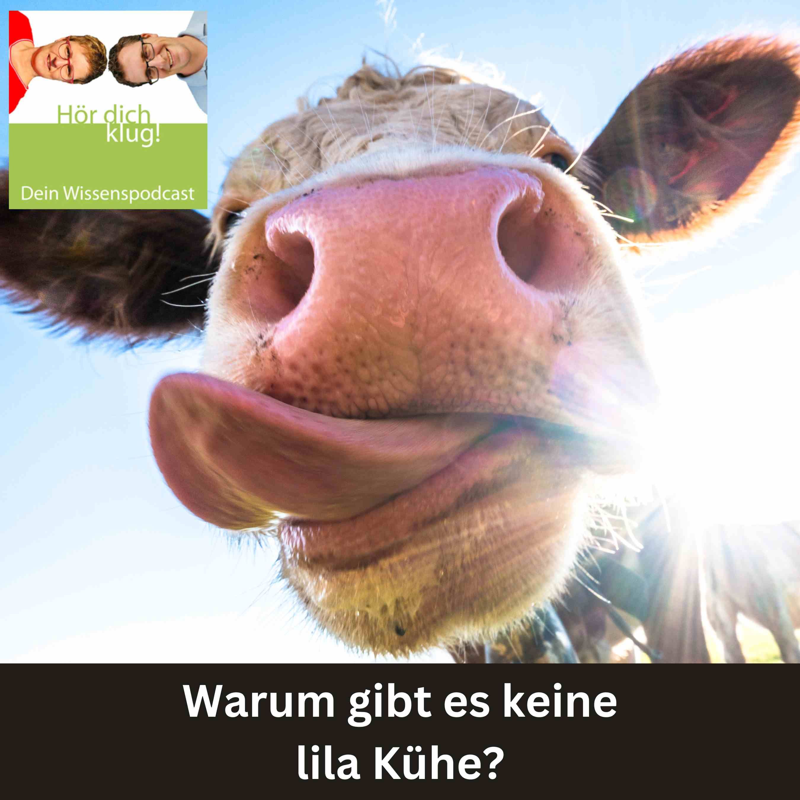 Warum gibt es keine lila Kühe?