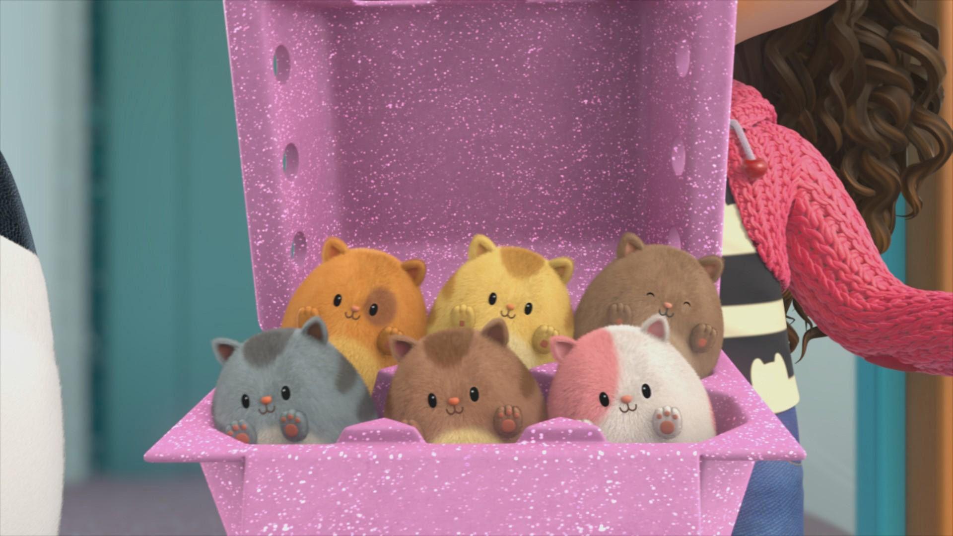 Kitty Fees Übernachtungsparty