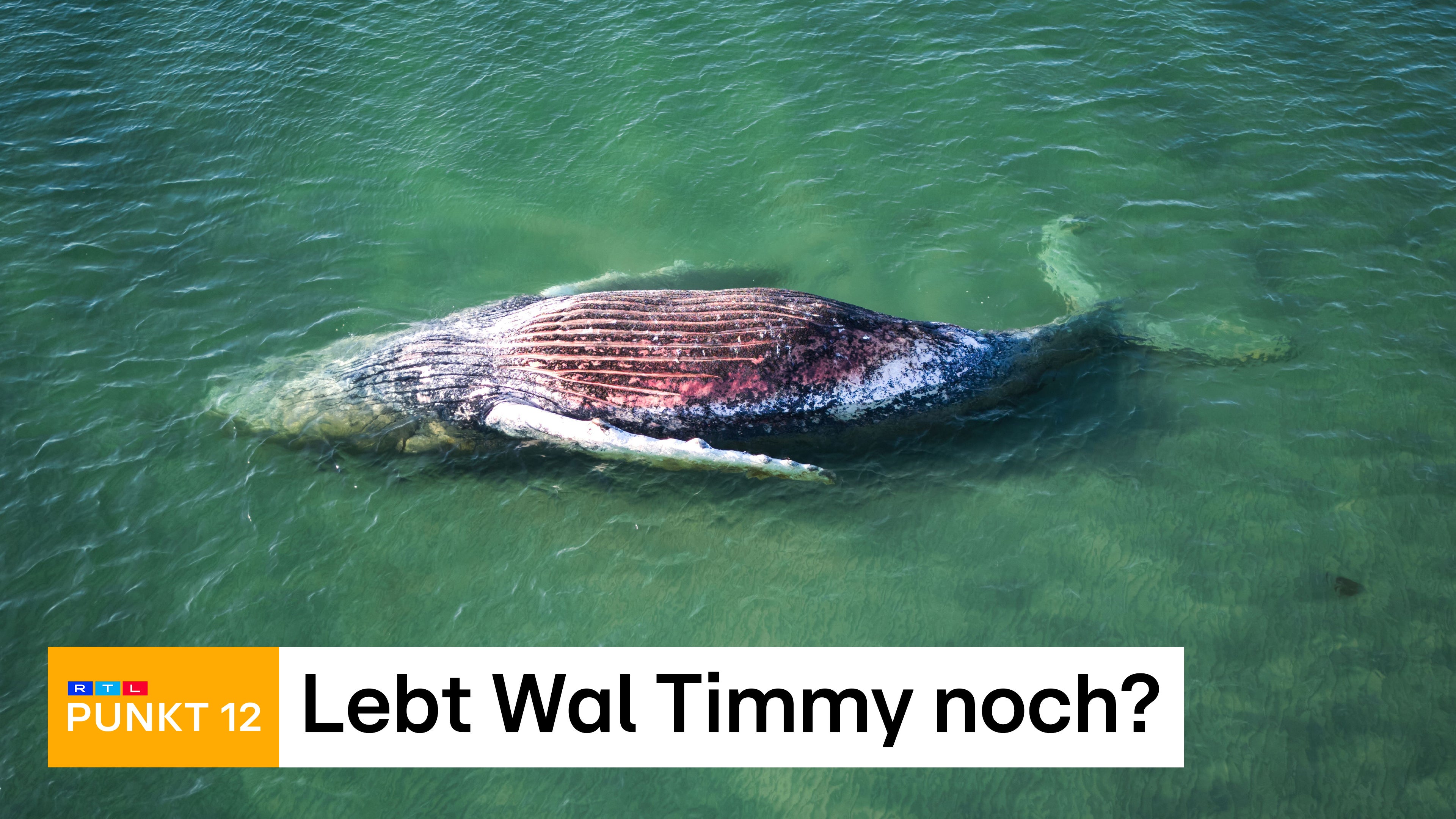 Sendung vom 22.07.2026