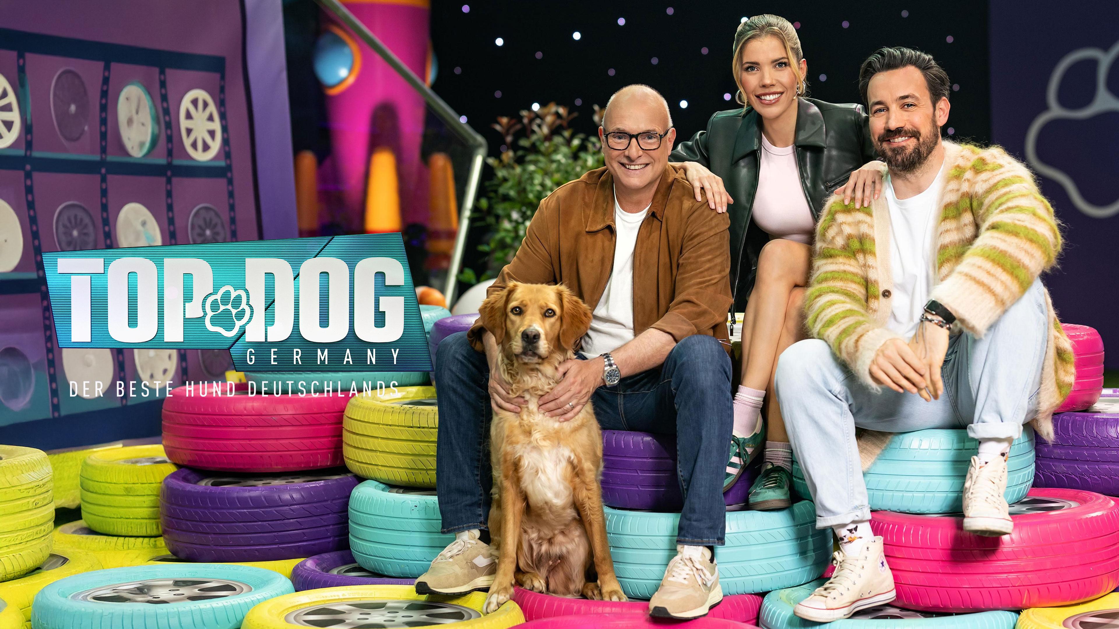 Top Dog Germany - Der beste Hund Deutschlands