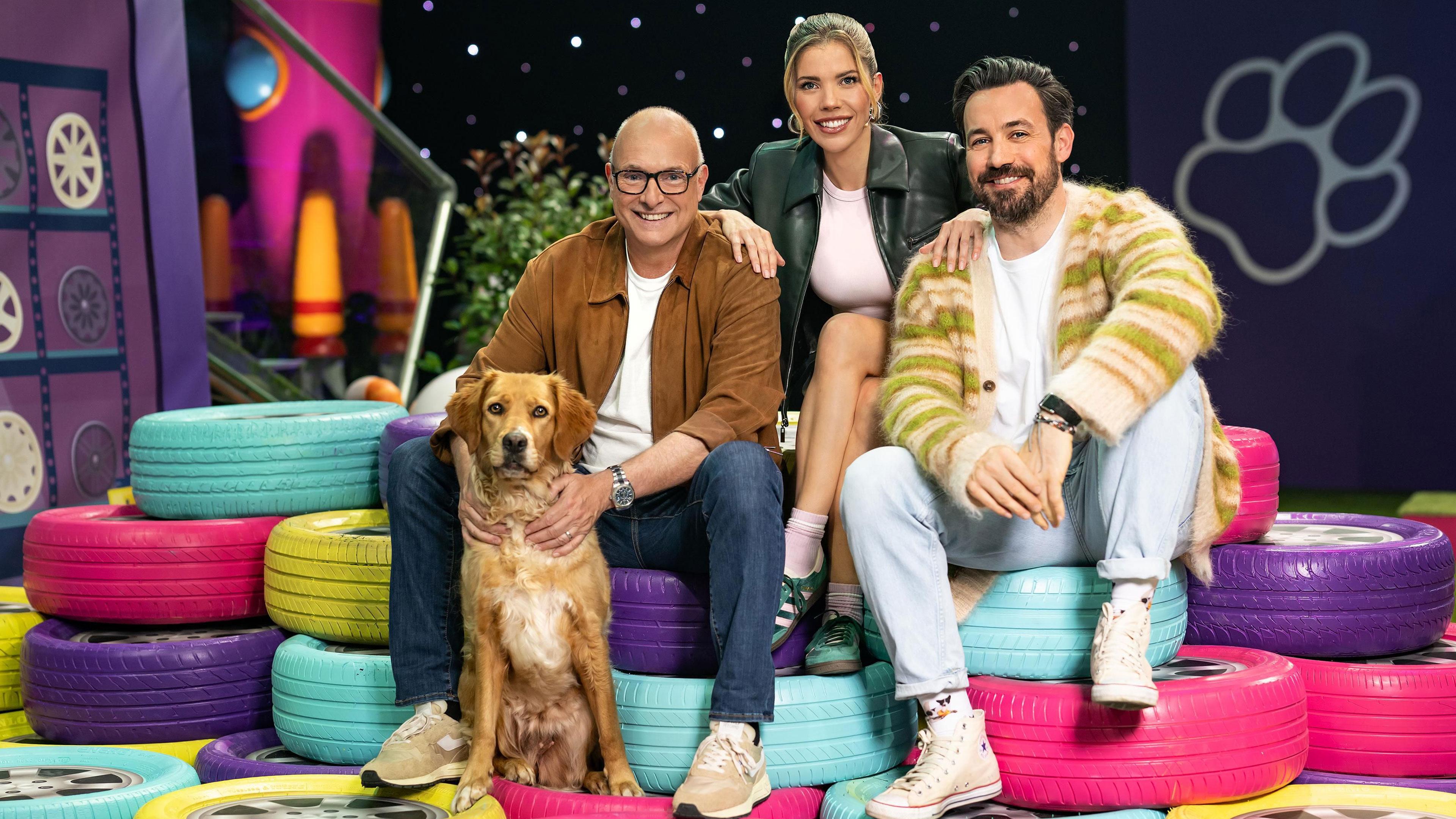 Top Dog Germany - Der beste Hund Deutschlands