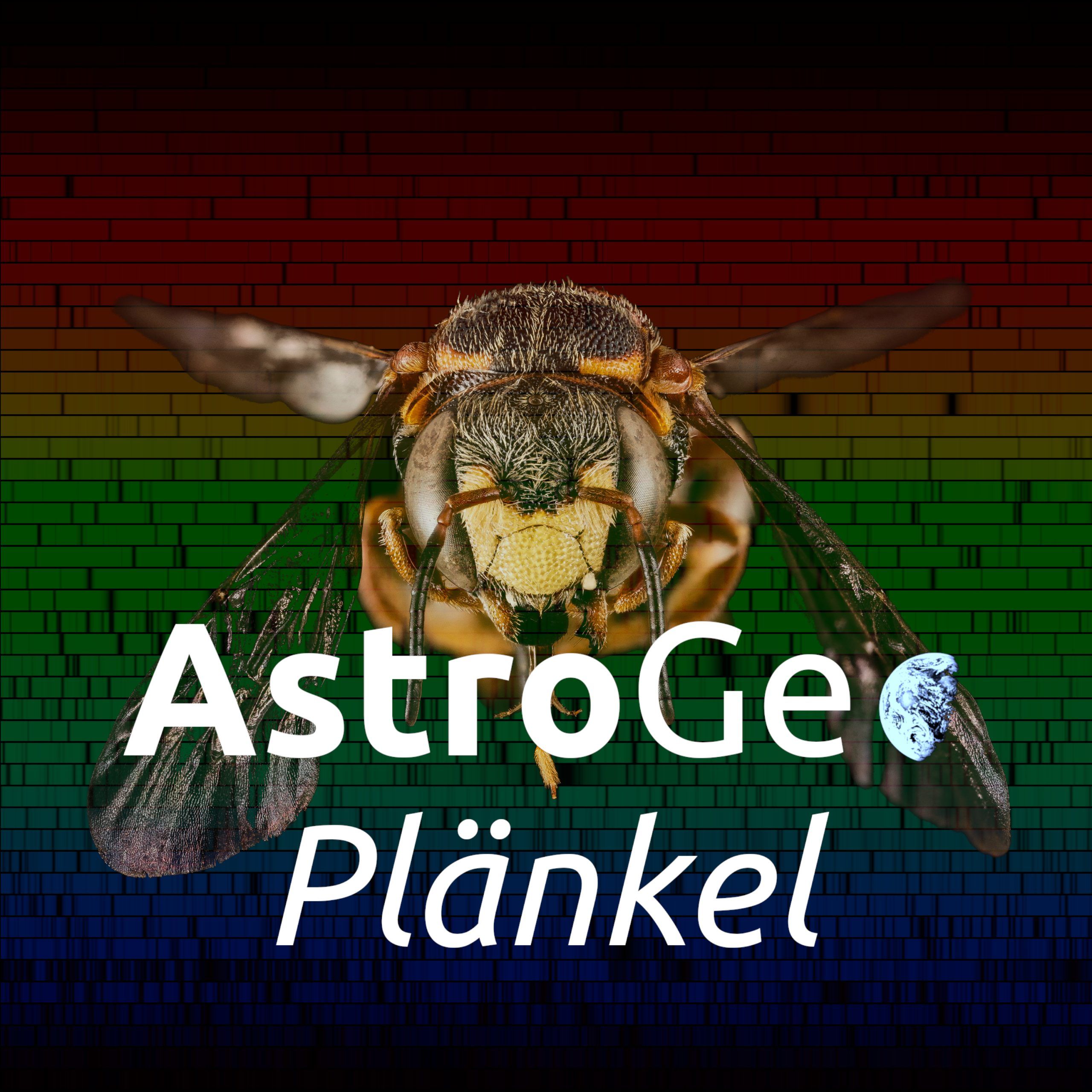 AstroGeoPlänkel: Radioaktive Steine, Aasbienen und Ballon-Abenteuer